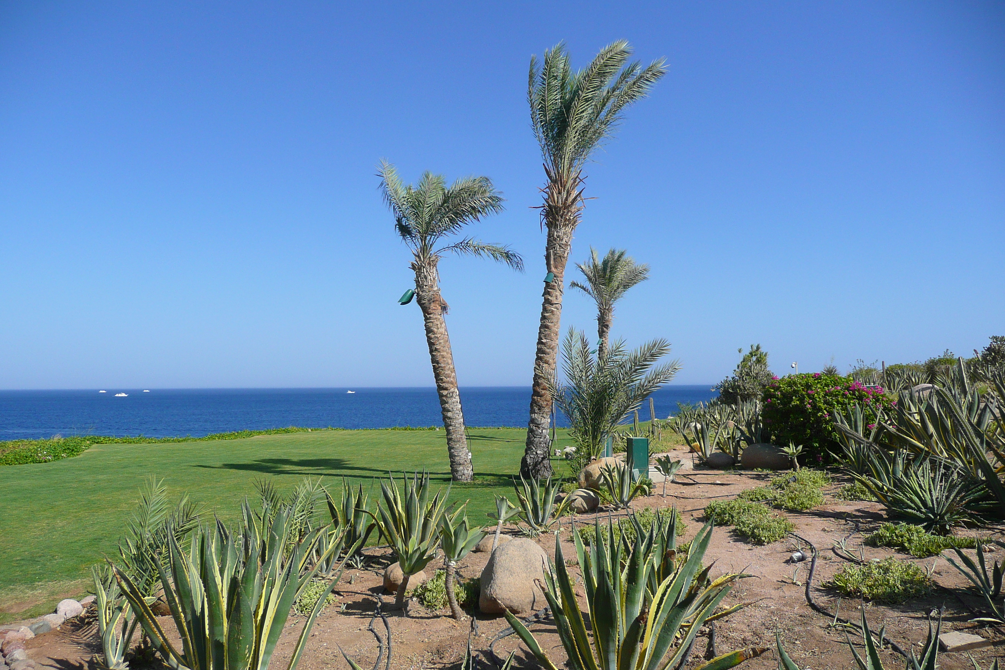 照片 埃及(Egypt) 沙姆沙伊赫(Sharm el Sheikh) 四季酒店(Four Seasons Hotel) 四季酒店海滩(Four Seasons Beach) 2008-06 52