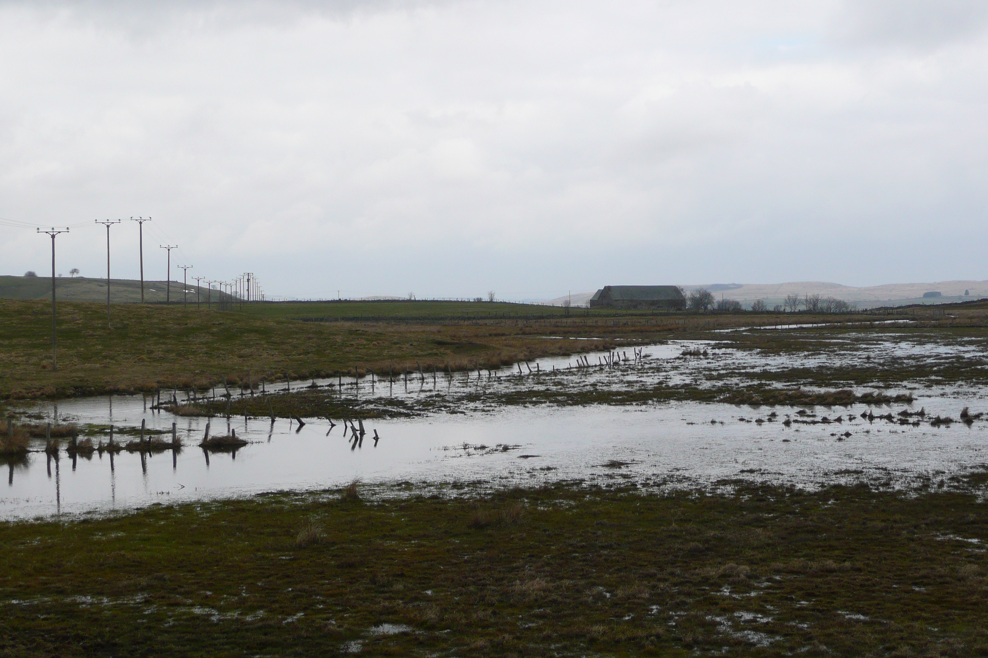 照片 法国(France) 奥布拉克(L'Aubrac) 2008-04 112