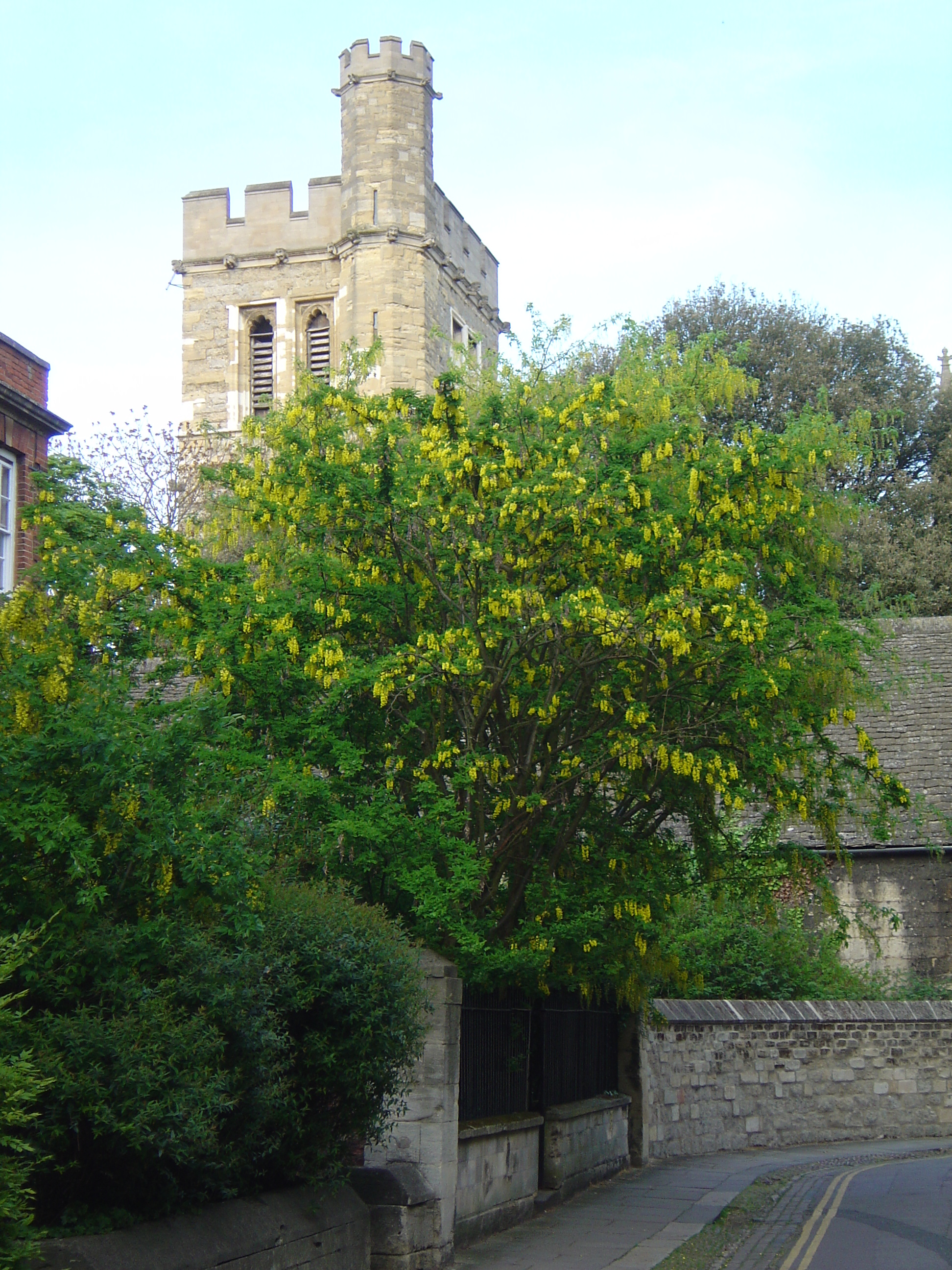 照片 英国(United Kingdom) 牛津(Oxford) 2005-05 10