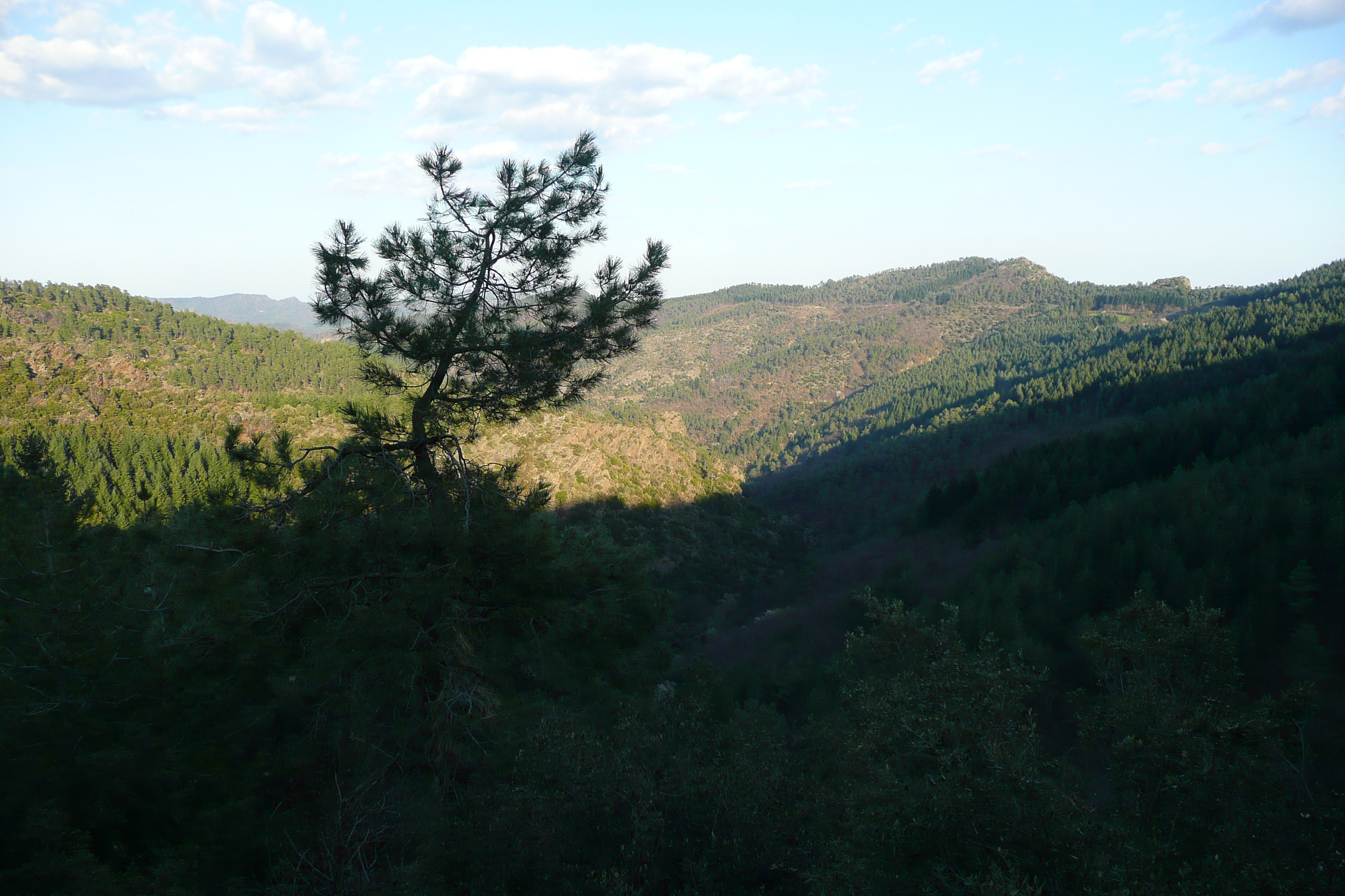 照片 法国(France) 塞文山脉(Cevennes Mountains) 2008-04 86