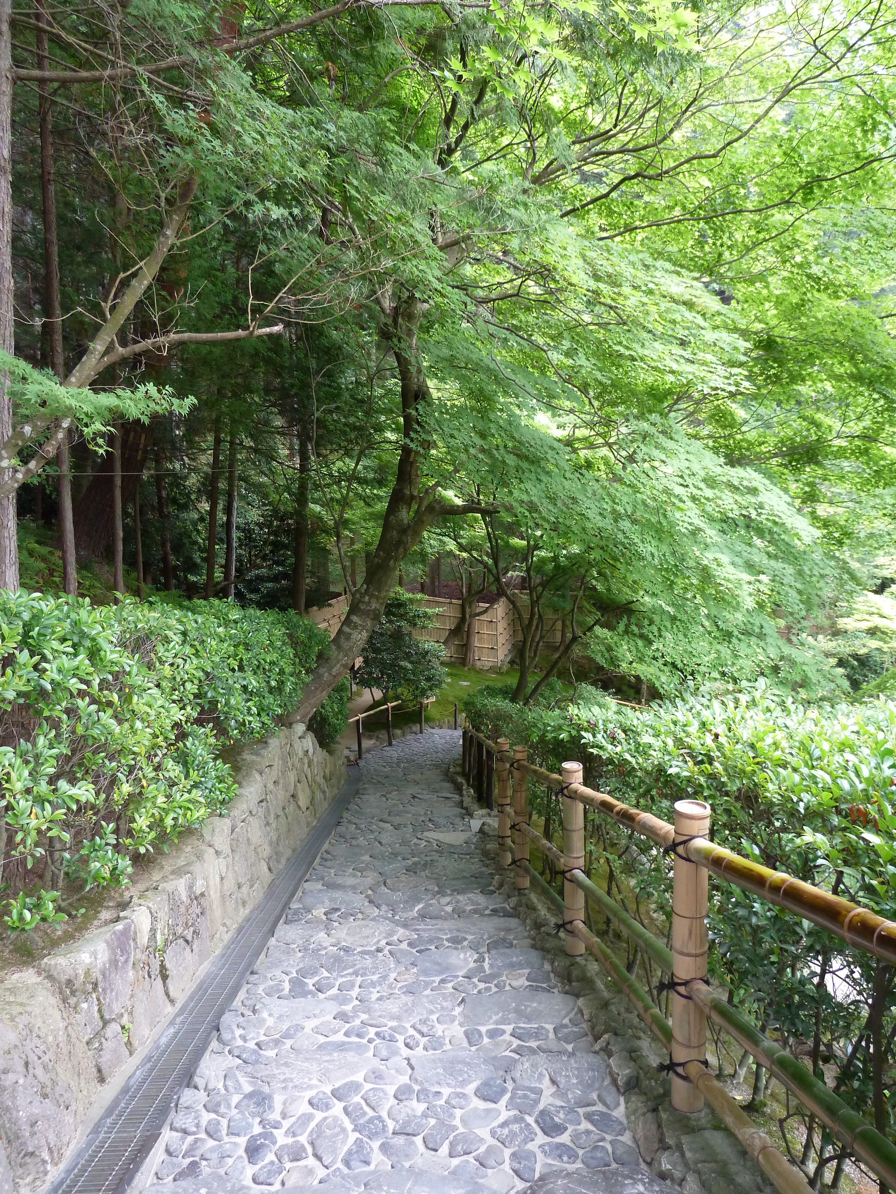 照片 日本(Japan) 京都(Kyoto) 银阁寺(Ginkakuji Temple(Silver Pavilion)) 2010-06 16