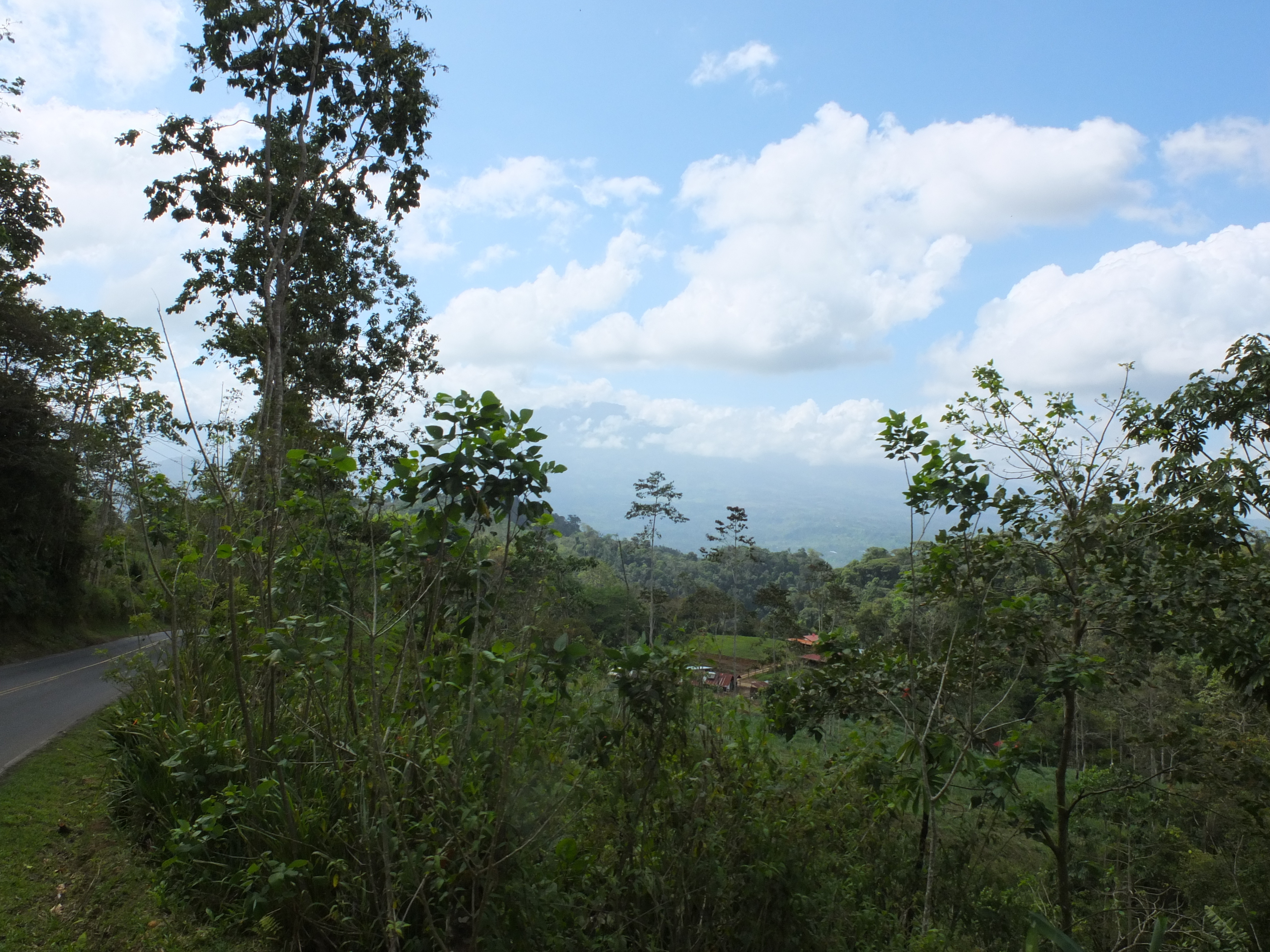 照片 哥斯达黎加(Costa Rica) 图里亚尔瓦(Turrialba) 2015-03 76