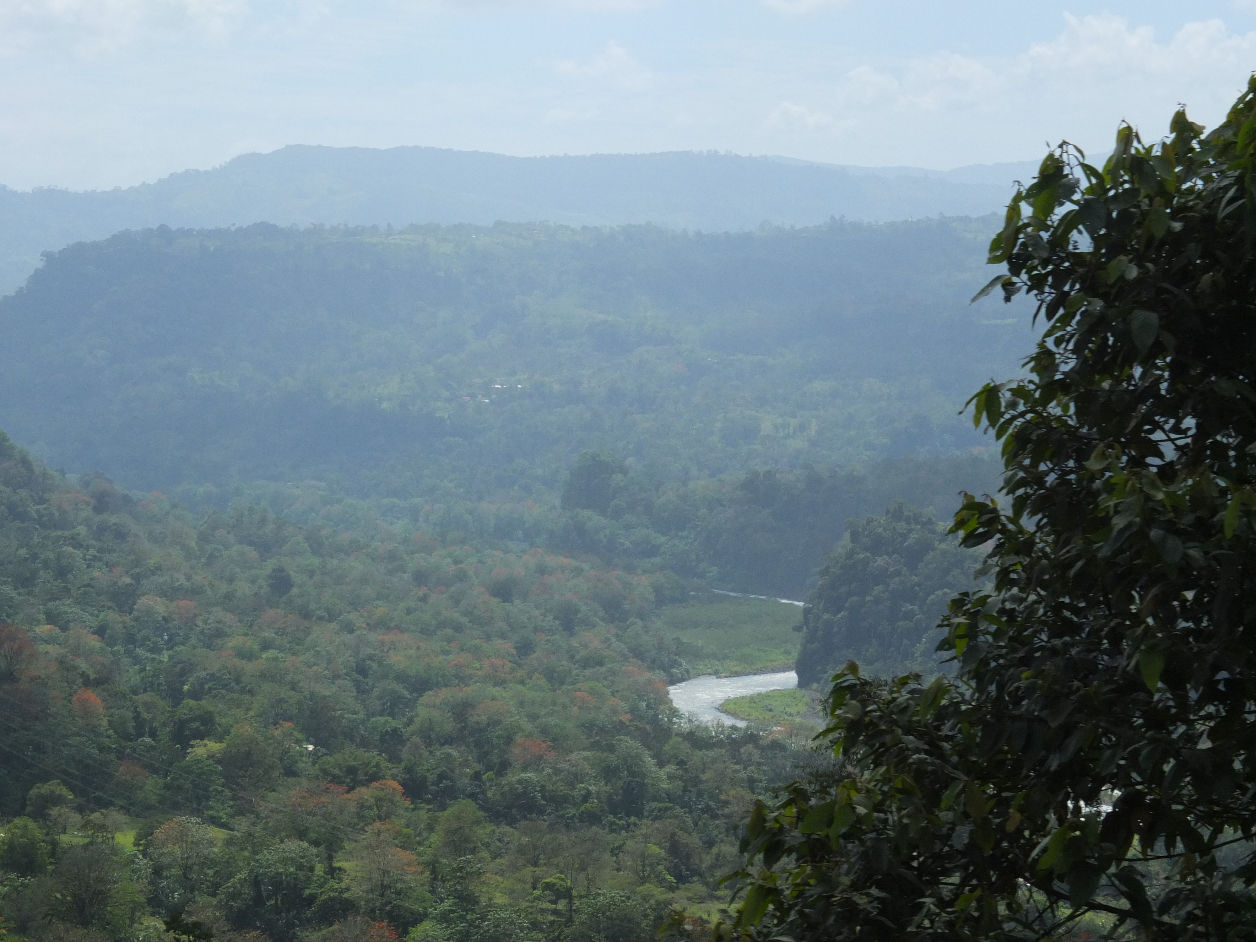照片 哥斯达黎加(Costa Rica) 图里亚尔瓦(Turrialba) 2015-03 40