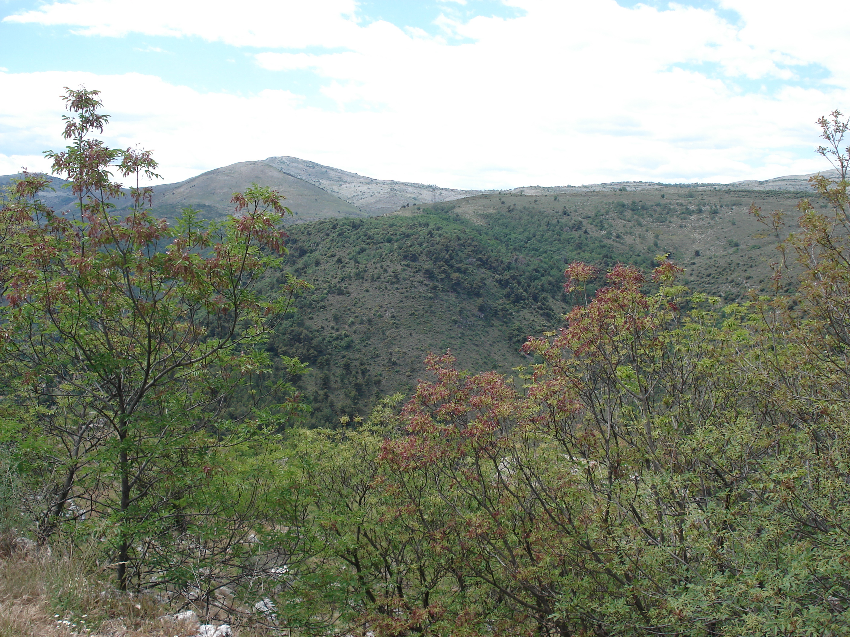 照片 法国(France) 旺斯(Vence) 巴乌山(Baou) 2006-06 22