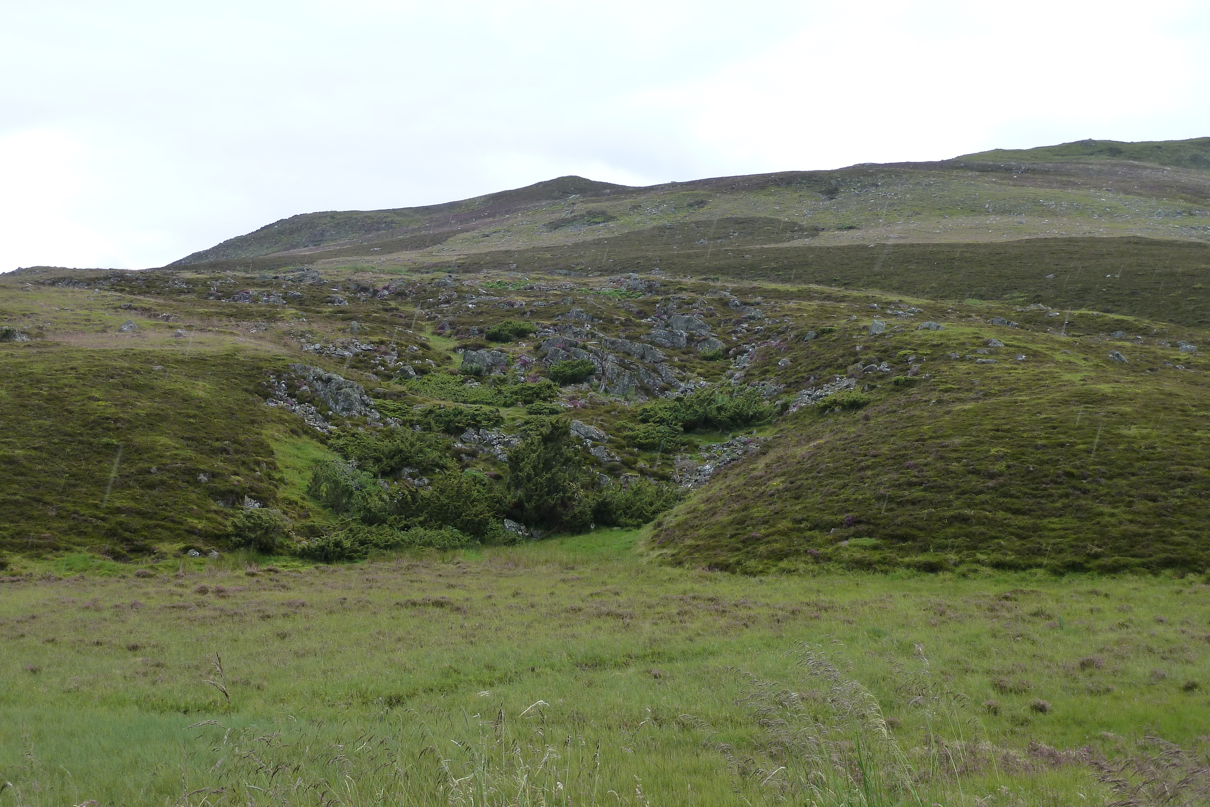 照片 英国(United Kingdom) 凯恩戈姆山国家公园(Cairngorms National Park) 2011-07 8