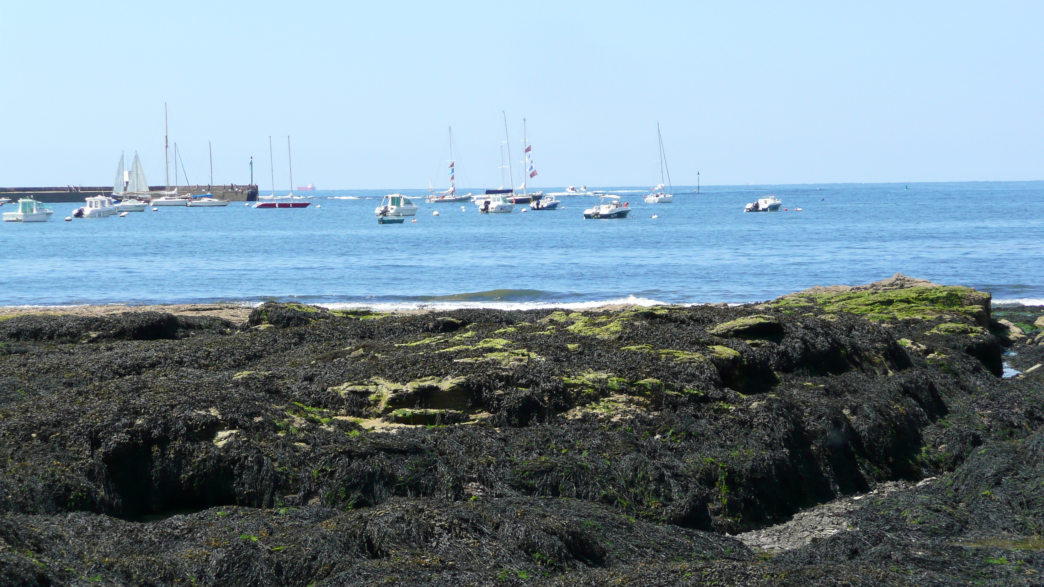 照片 法国(France) 普雷法耶(Prefailles) 圣吉尔达角至拉普雷(La pointe Saint Gildas to La Pree) 2007-08 15
