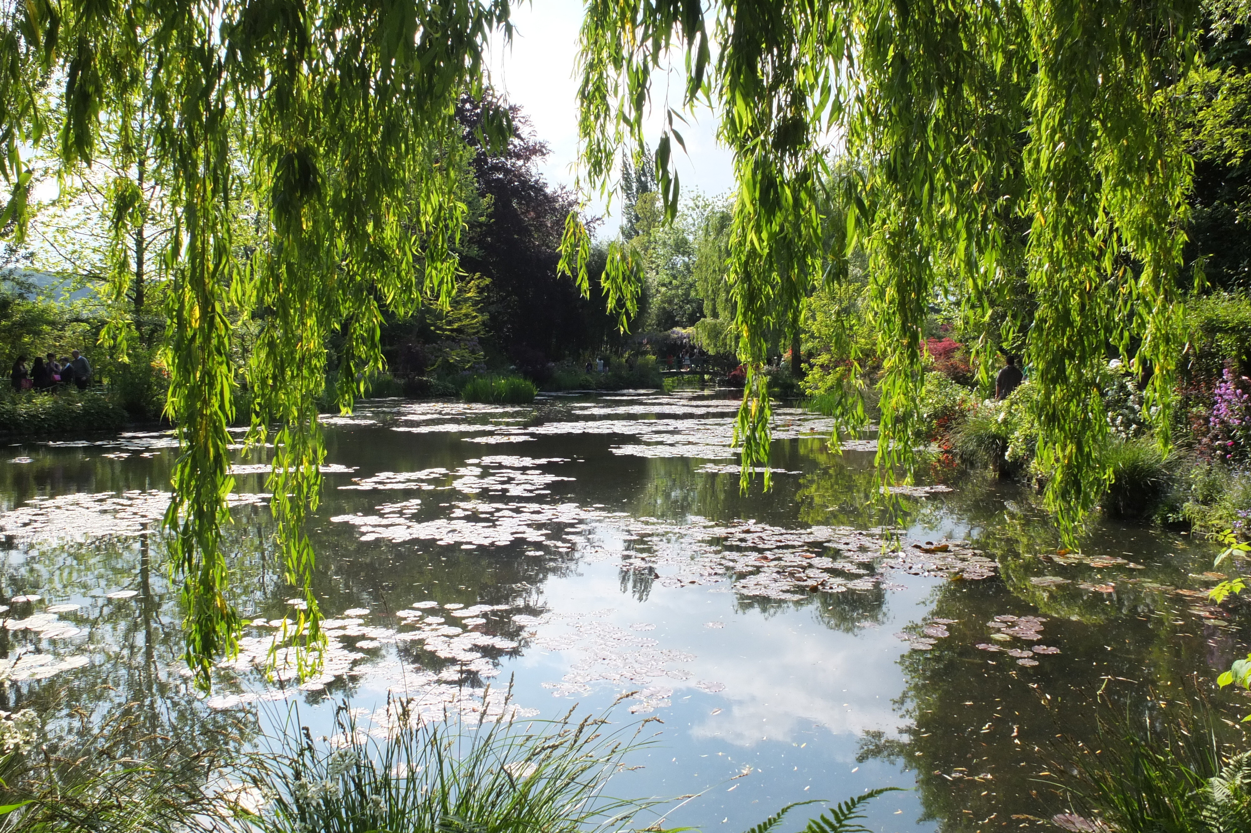 照片 法国(France) 吉维尼(Giverny) 2013-06 156