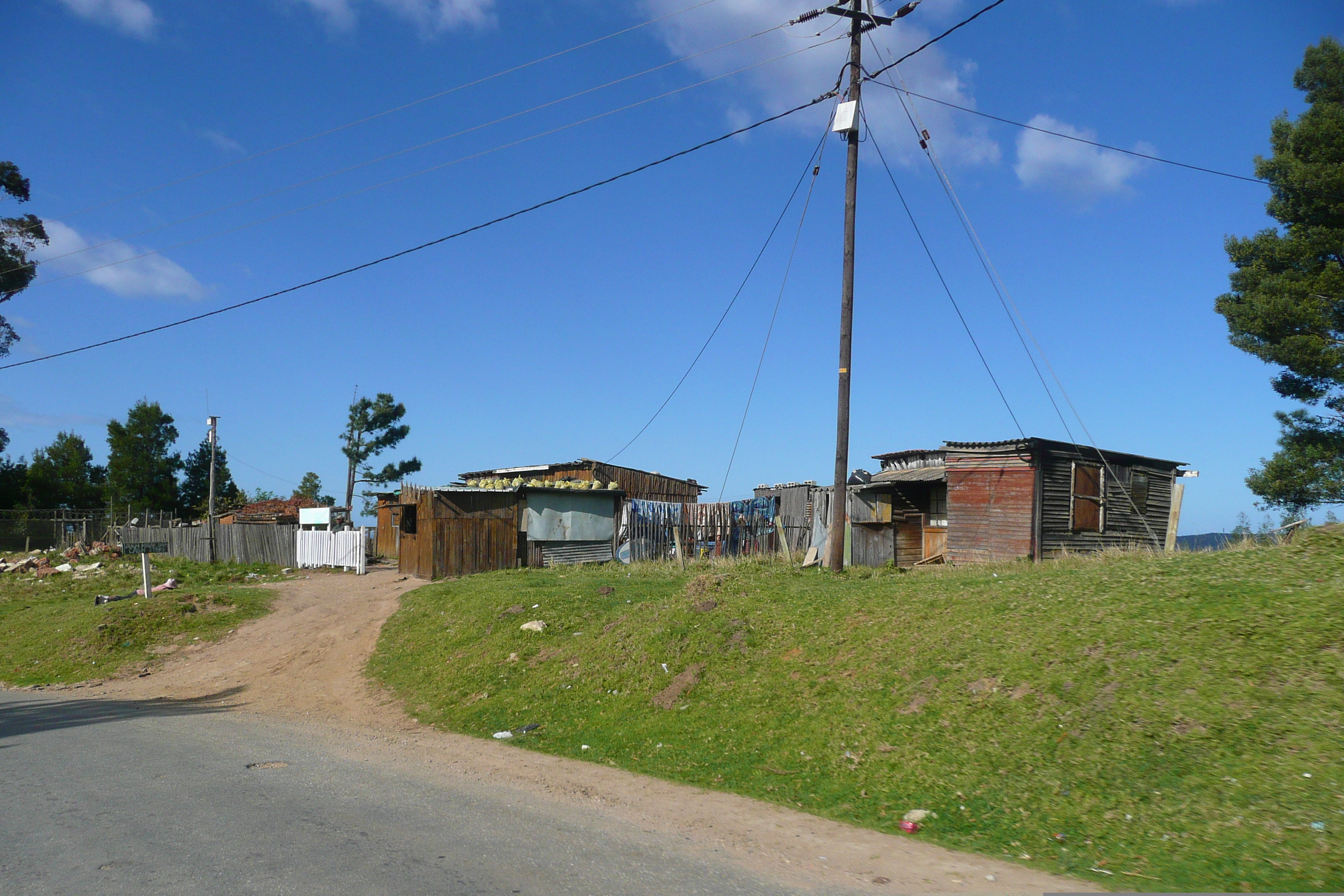 照片 南非(South Africa) 克尼斯纳(Knysna) 2008-09 80