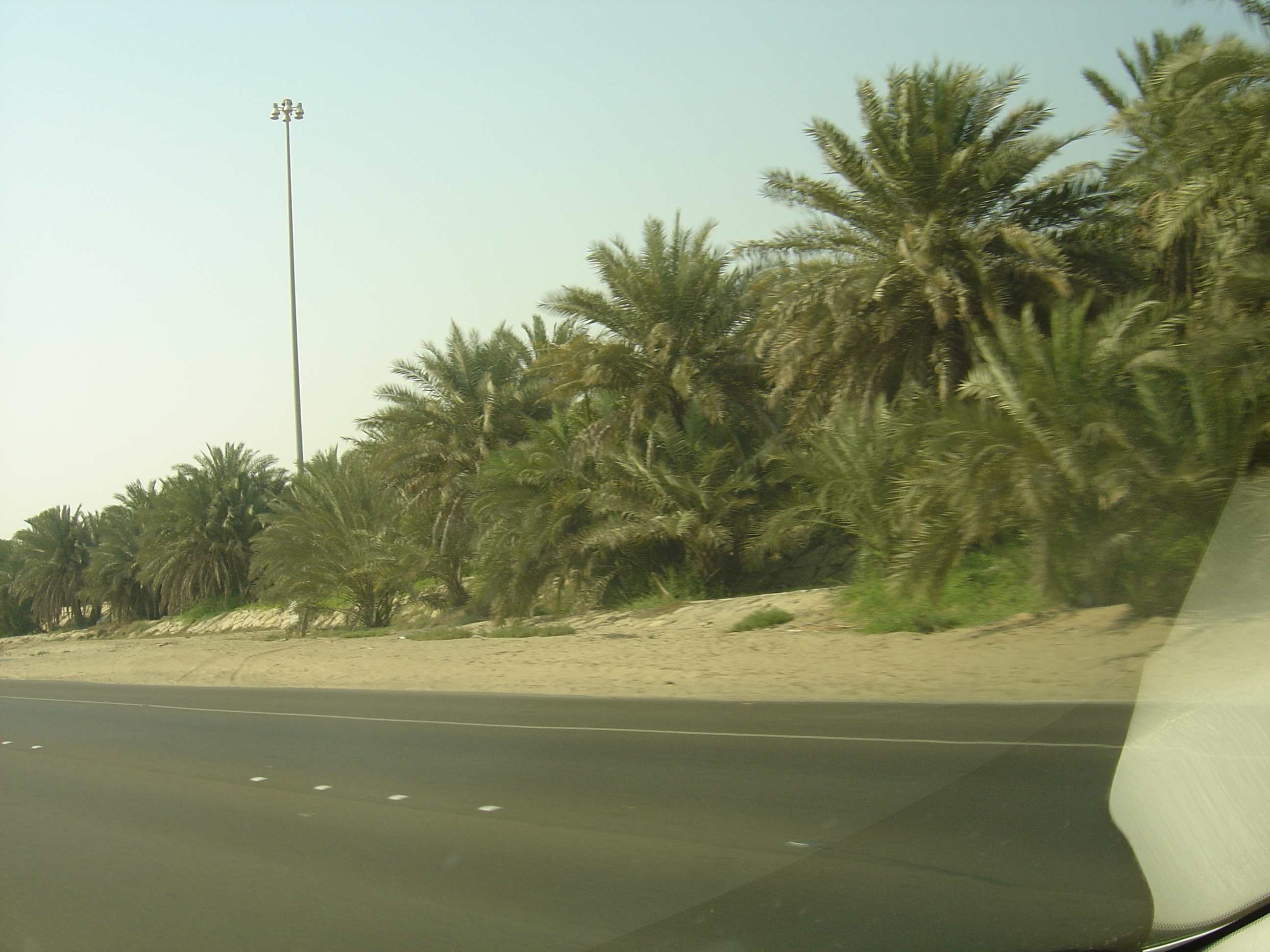 照片 阿联酋(United Arab Emirates) 艾因至阿布扎比公路(Al Ain to Abu Dhabi Road) 2005-09 5