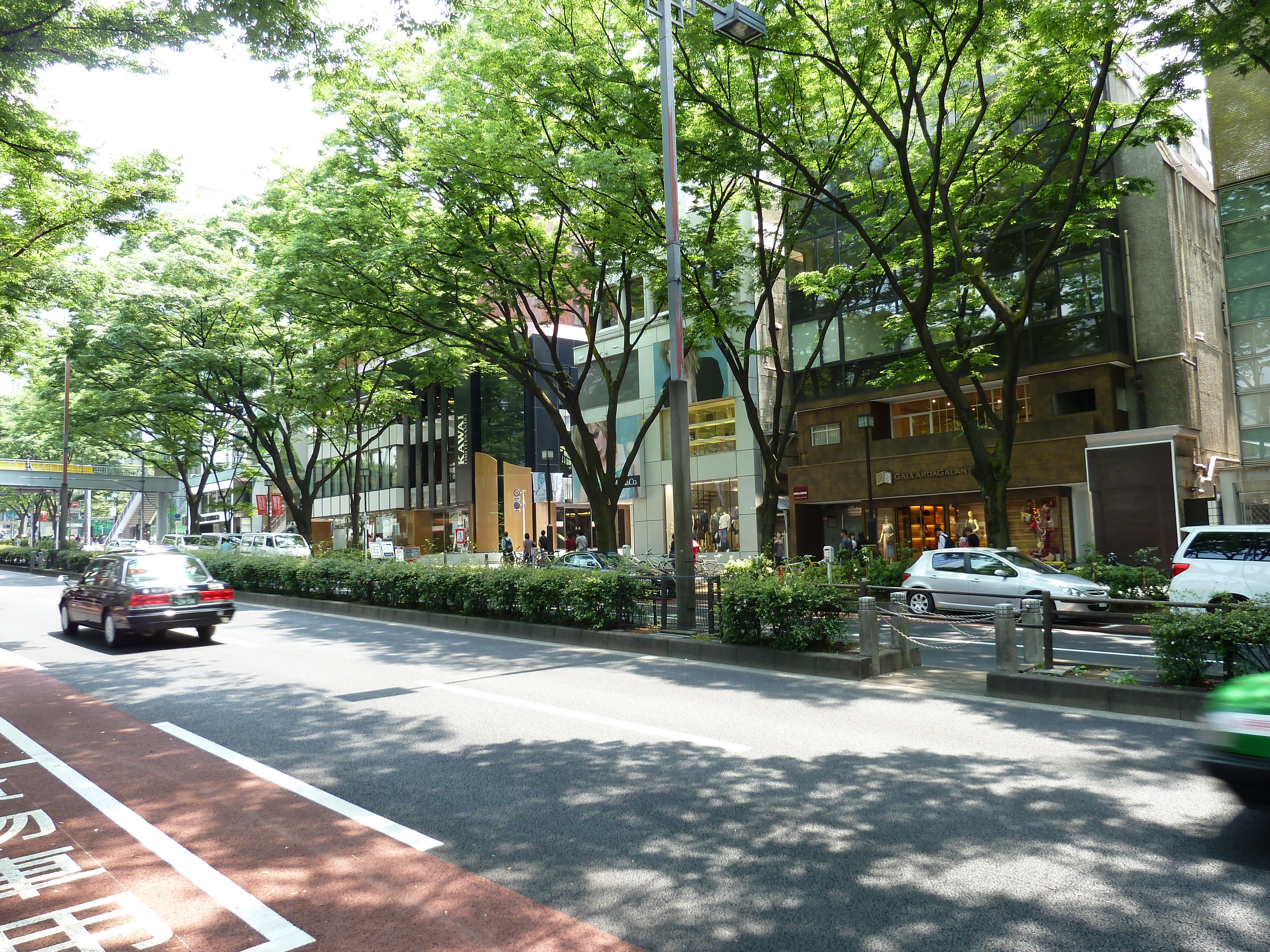 照片 日本(Japan) 东京(Tokyo) 表参道(Omotesando) 2010-06 5