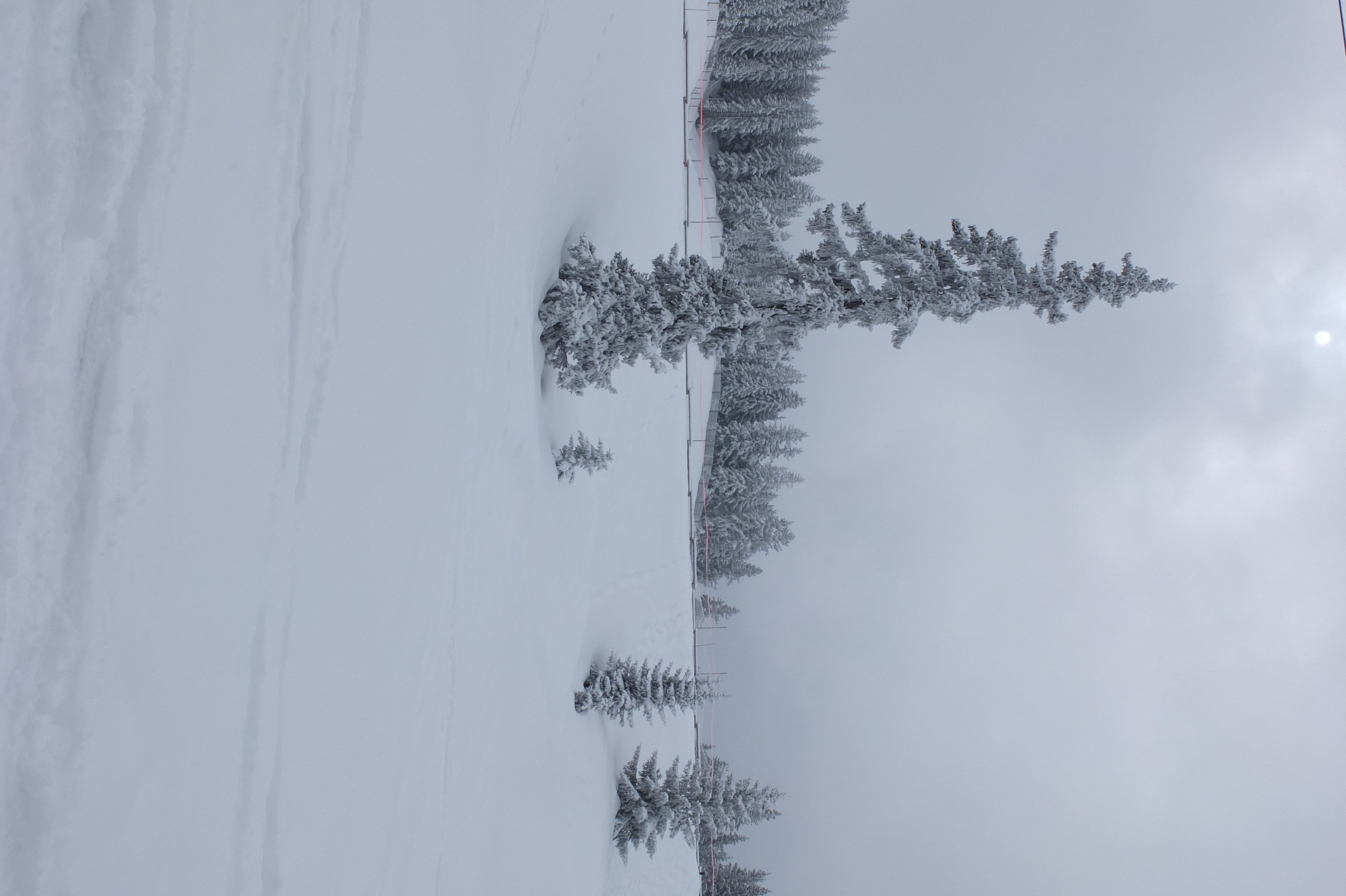 照片 法国(France) 三峡谷滑雪场(Les 3 Vallees) 2013-03 398