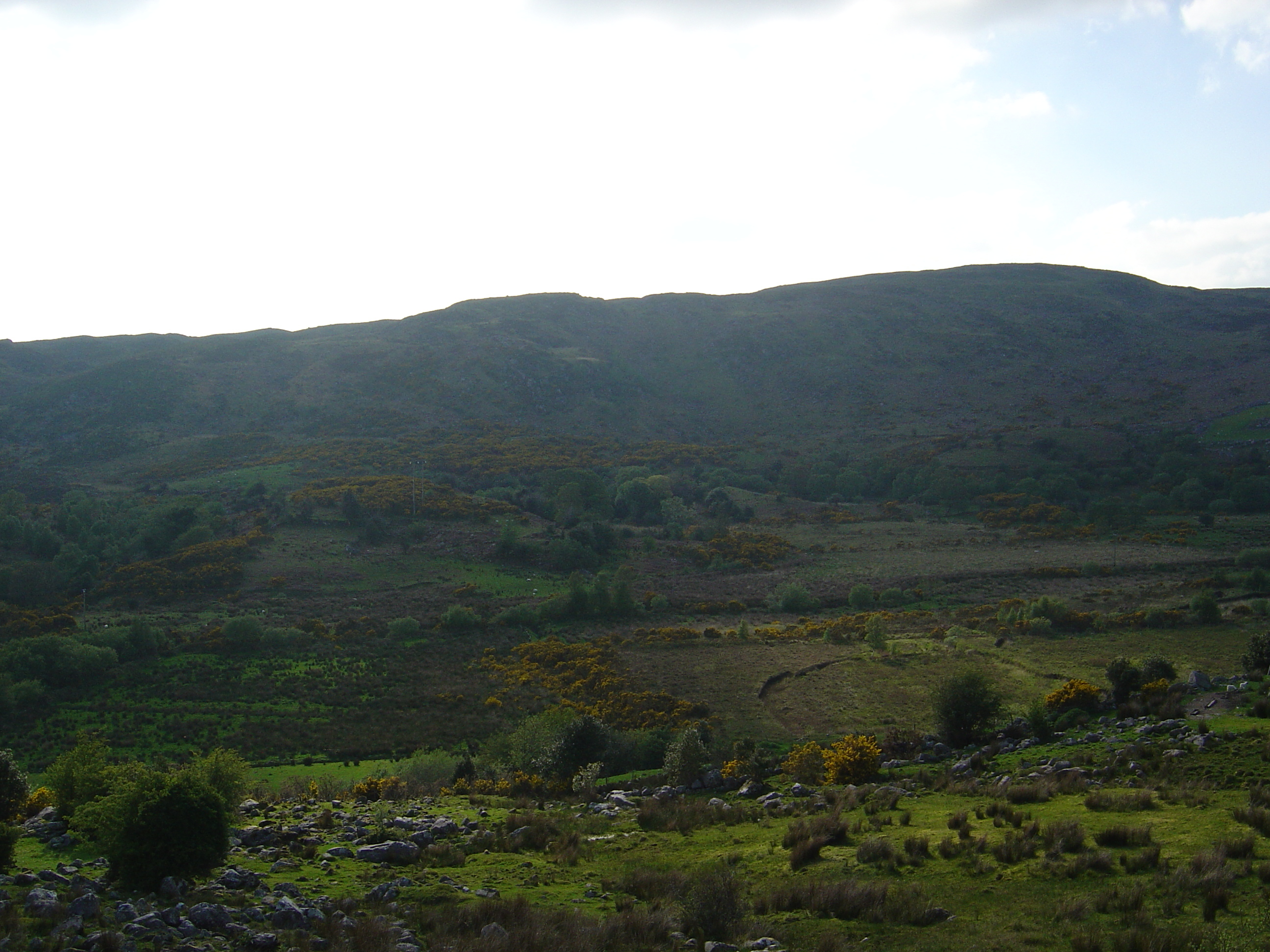照片 爱尔兰(Ireland) 凯里郡(Kerry) 卡拉湖(Caragh Lake) 2004-05 8