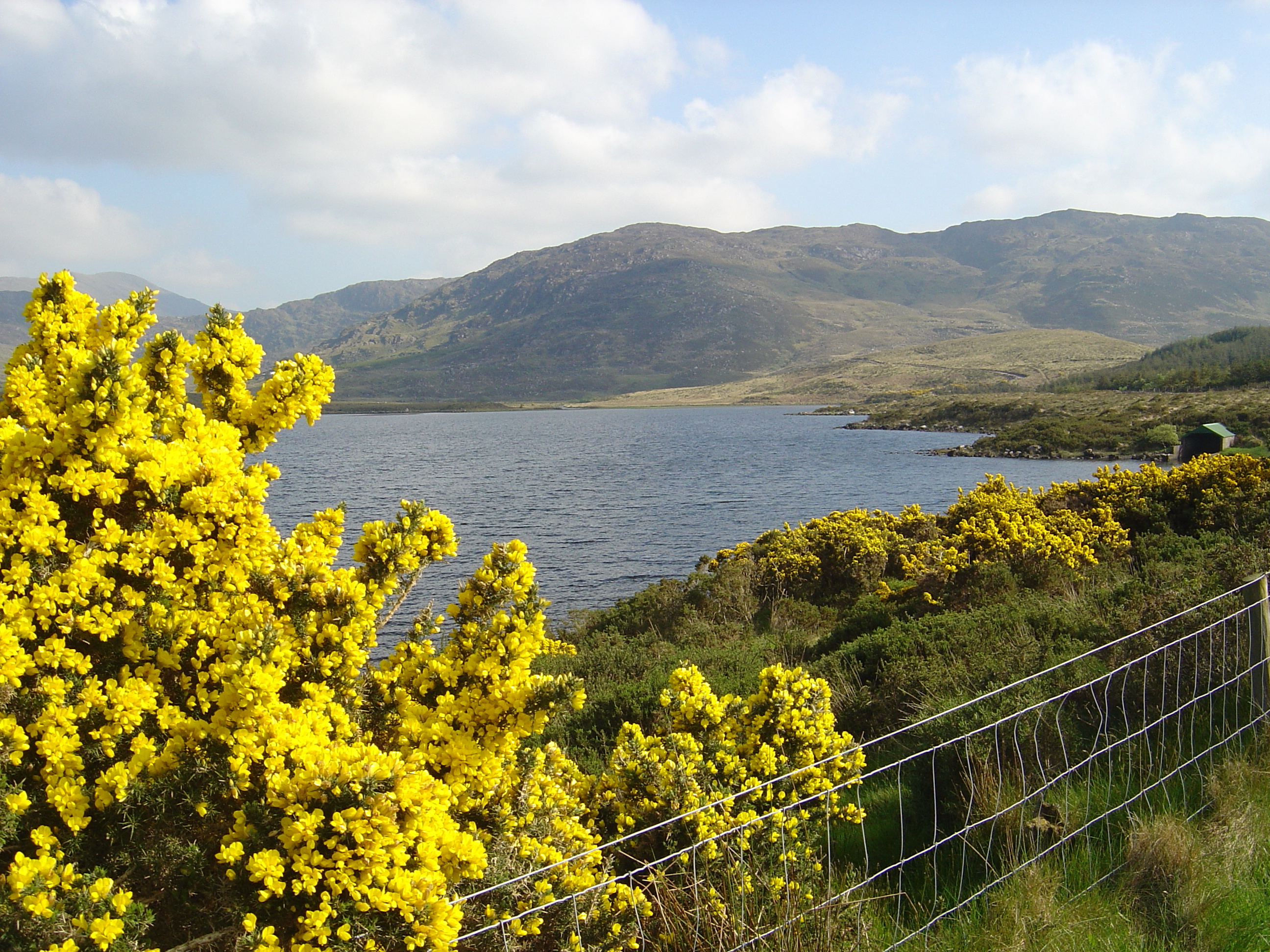 照片 爱尔兰(Ireland) 凯里郡(Kerry) 卡拉湖(Caragh Lake) 2004-05 37