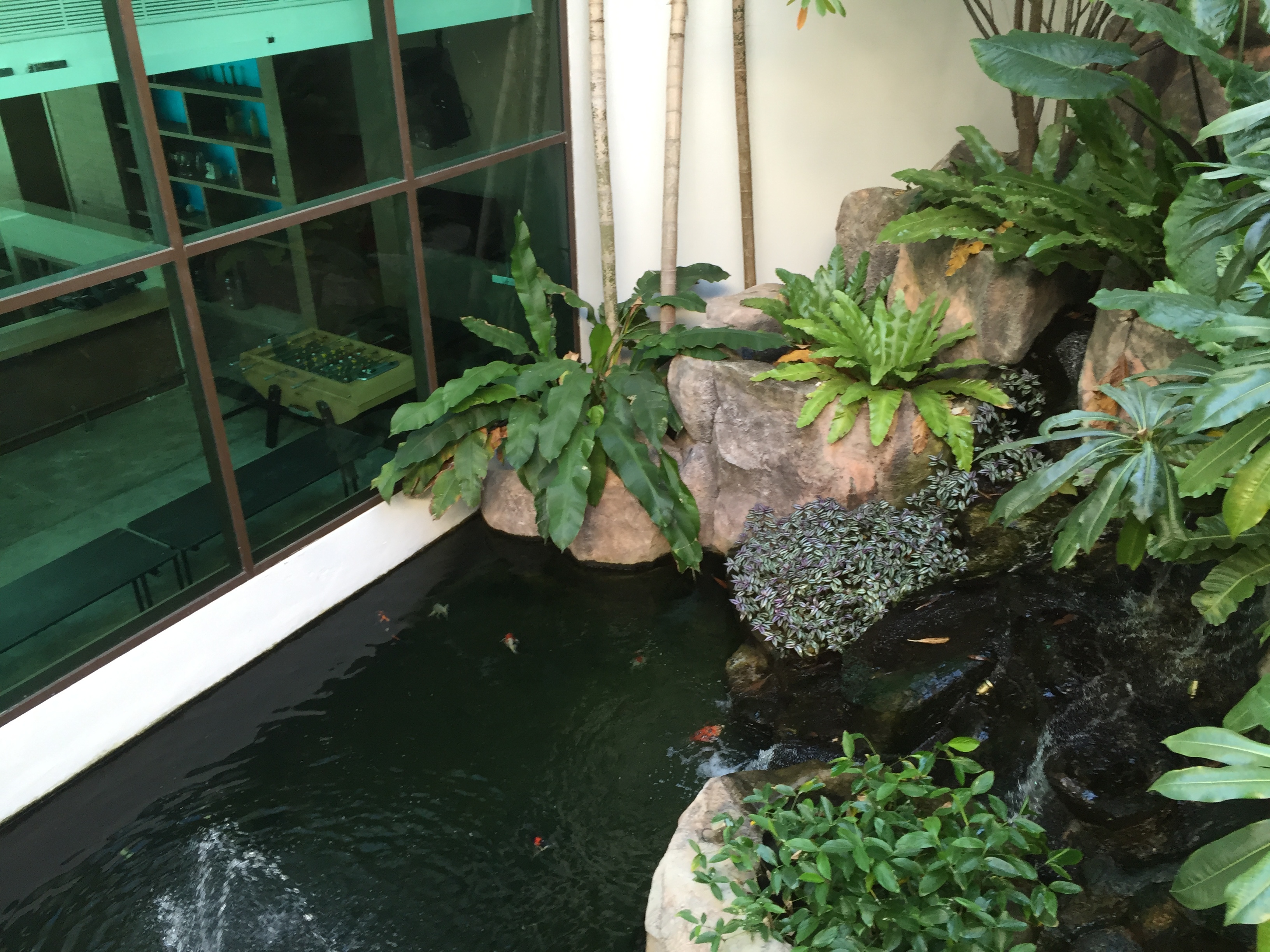 照片 泰国(Thailand) 罗勇万豪酒店(Marriott Rayong) 2016-01 160