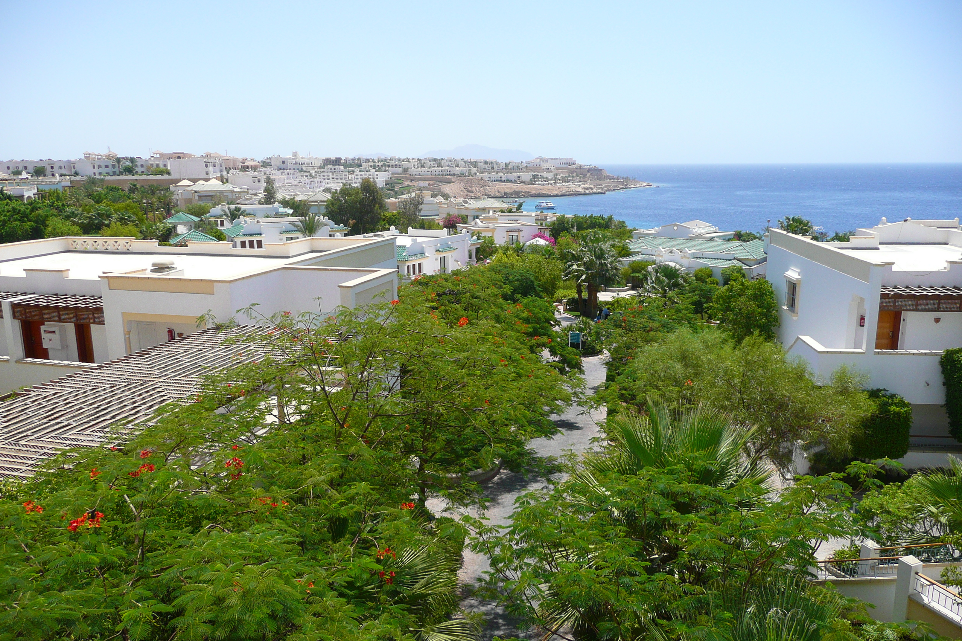 照片 埃及(Egypt) 沙姆沙伊赫(Sharm el Sheikh) 凯悦酒店(Hyatt Hotel) 2008-06 111
