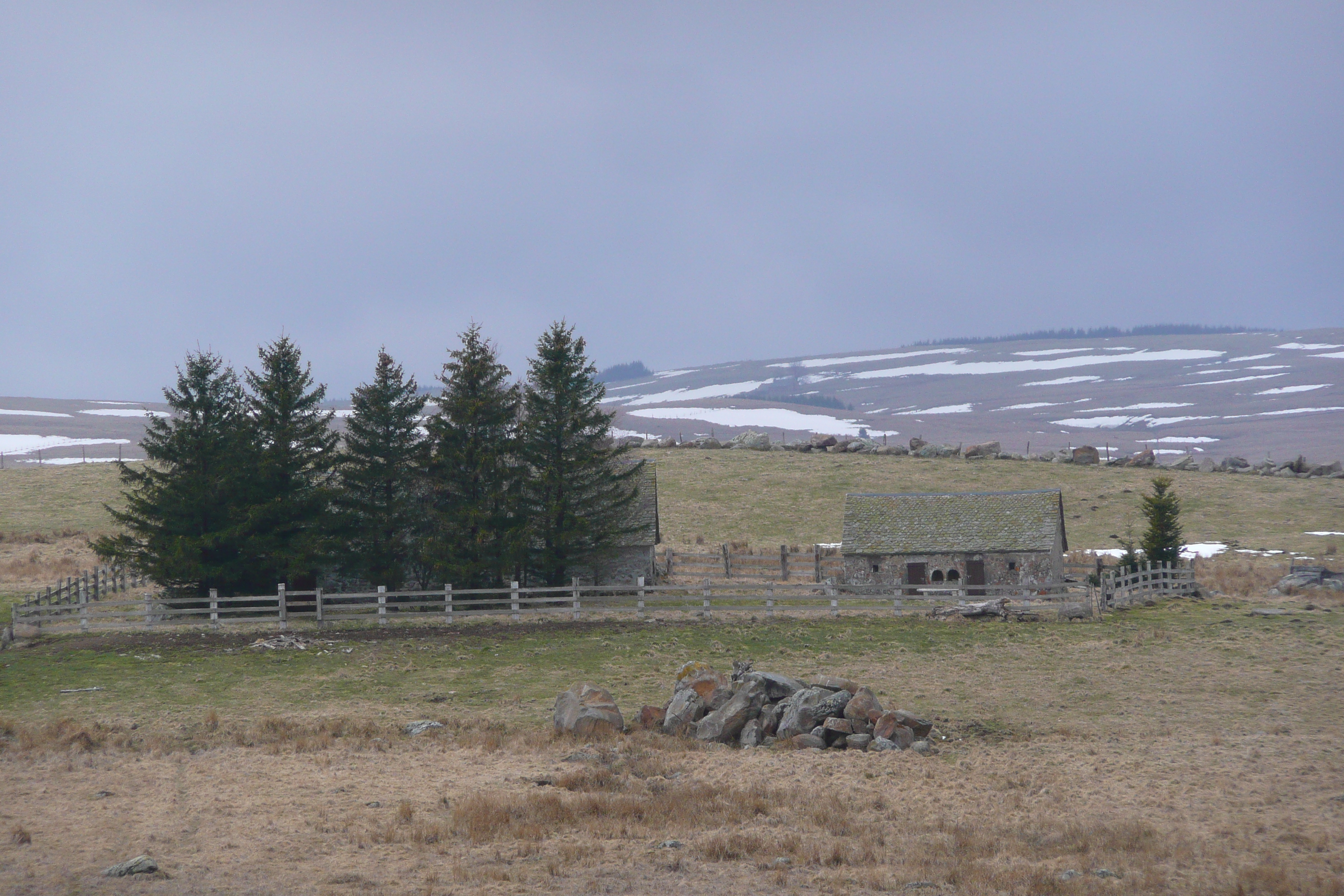 照片 法国(France) 奥布拉克(L'Aubrac) 2008-04 31