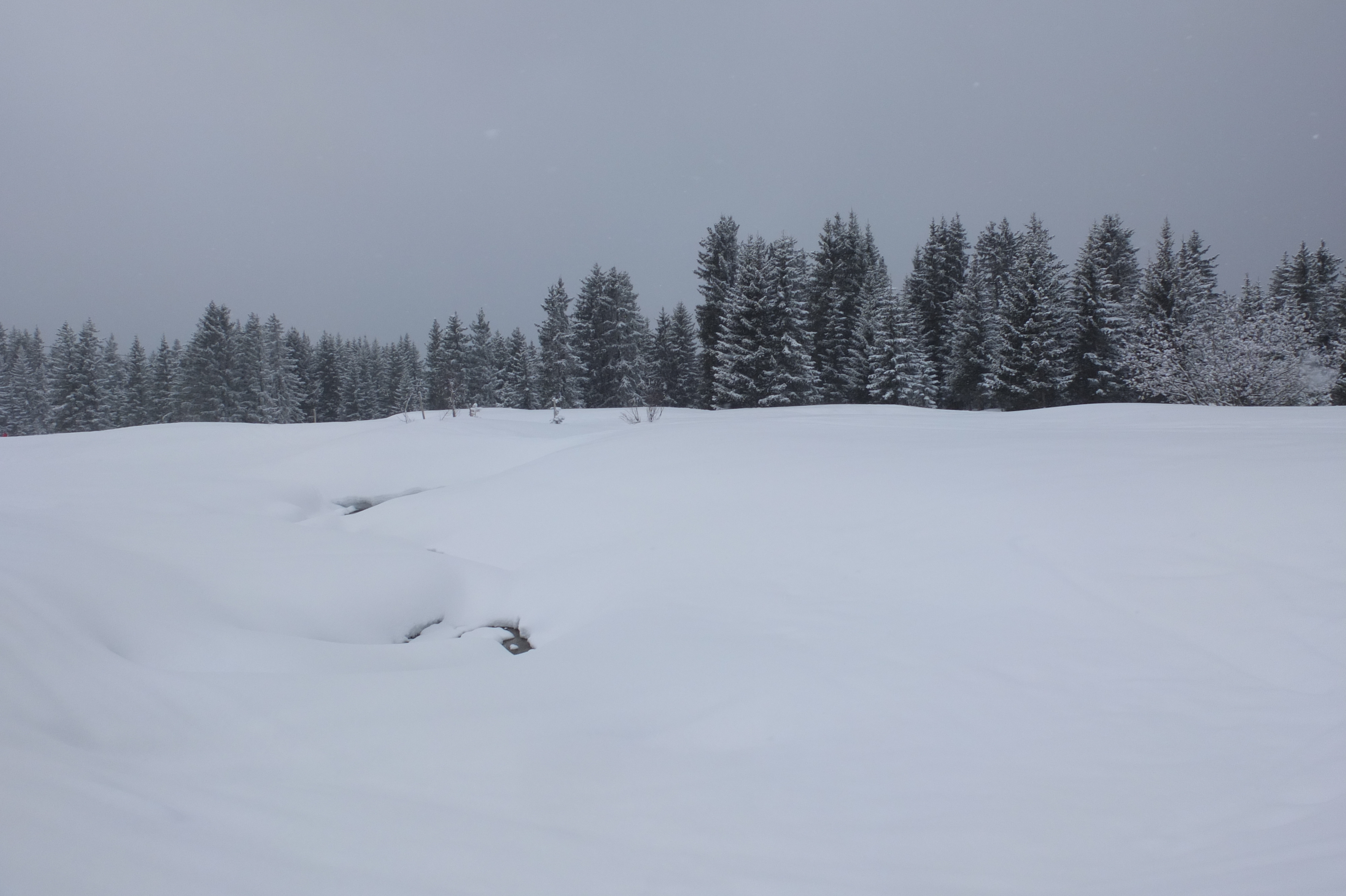 照片 法国(France) 三峡谷滑雪场(Les 3 Vallees) 2013-03 75