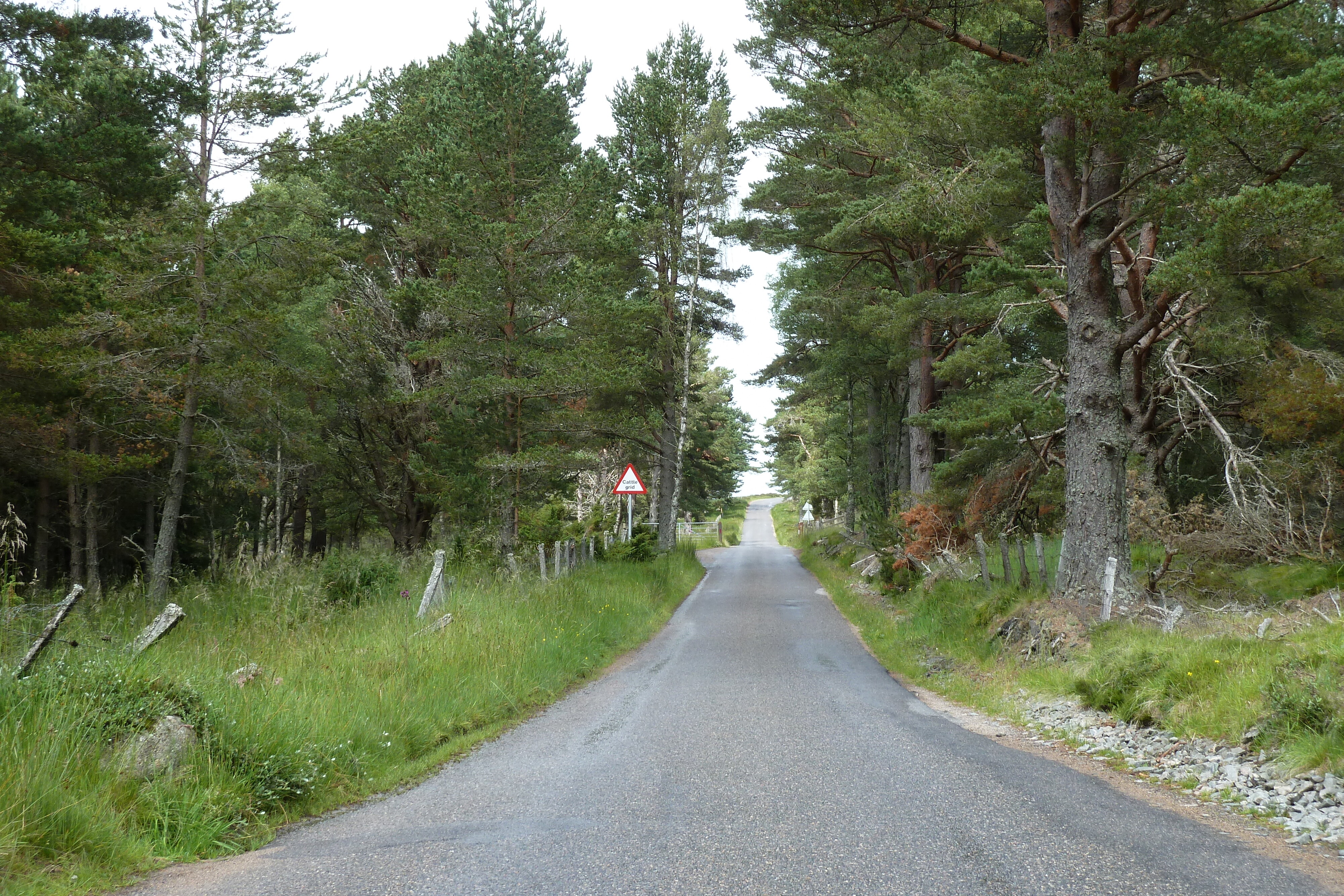 照片 英国(United Kingdom) 凯恩戈姆山国家公园(Cairngorms National Park) 2011-07 33