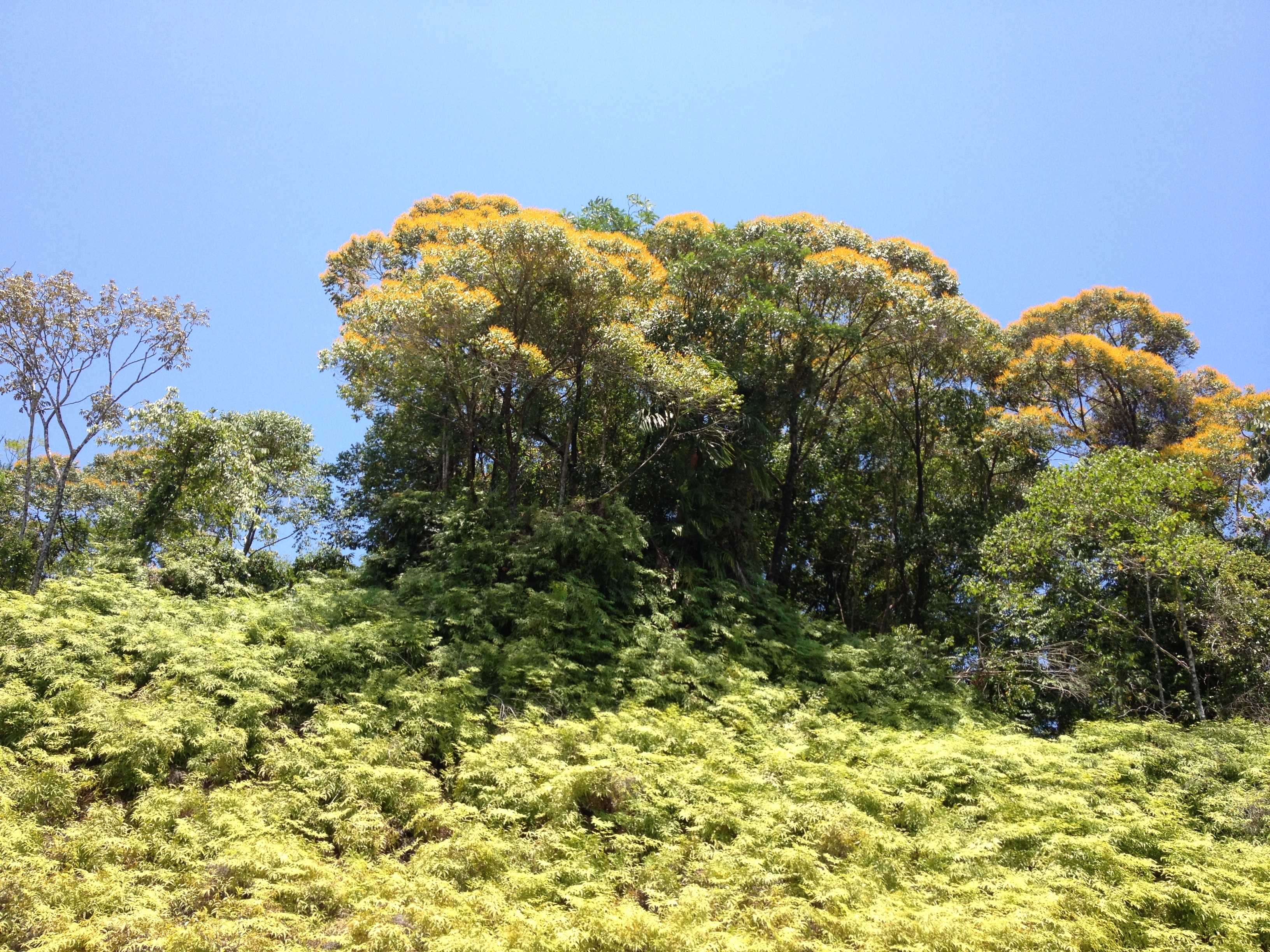 照片 哥斯达黎加(Costa Rica) 太平洋海岸(Pacific Border) 2015-03 5
