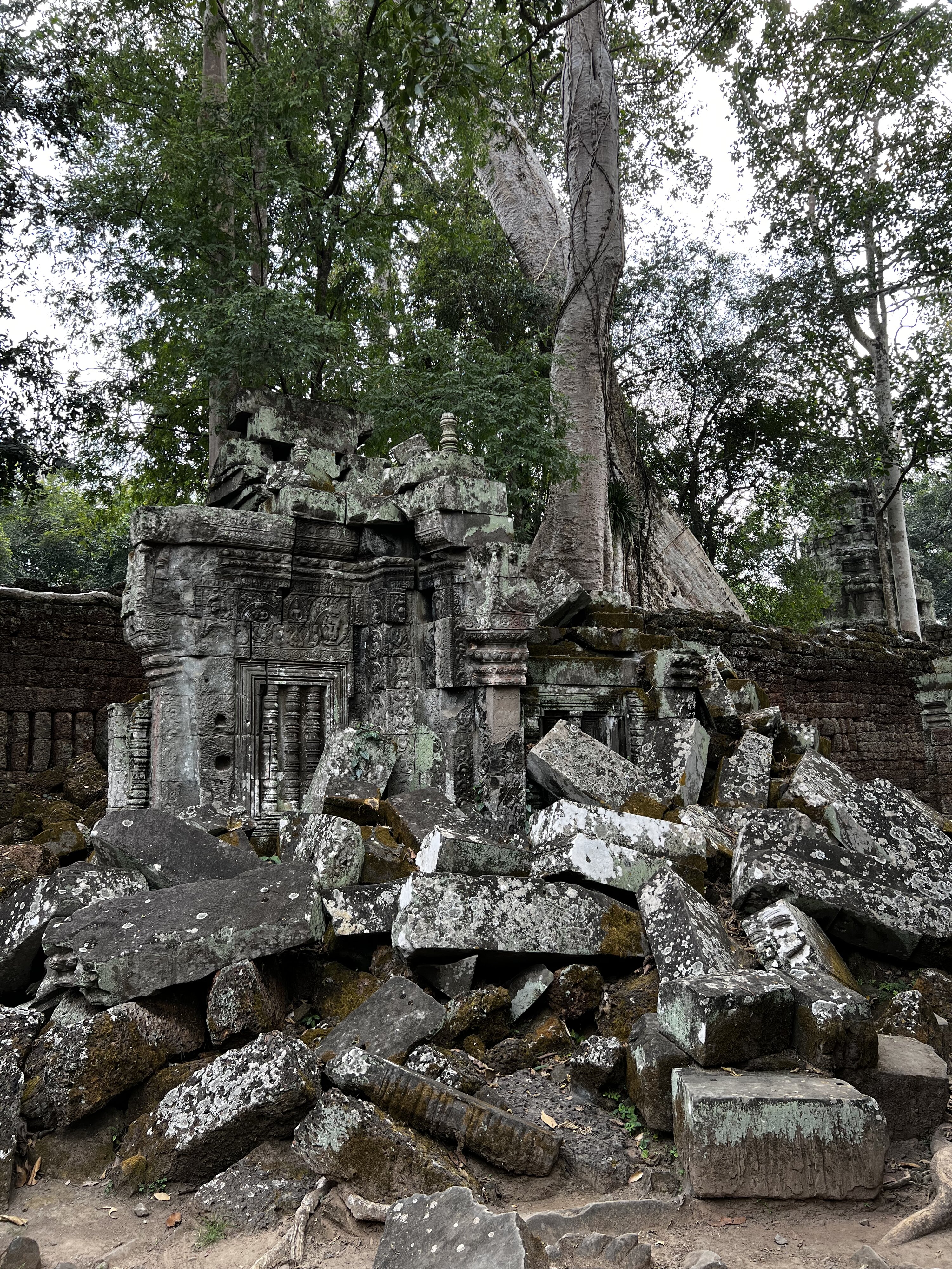 照片 柬埔寨(Cambodia) 暹粒(Siem Reap) 塔布茏寺(Ta Prohm) 2023-01 81