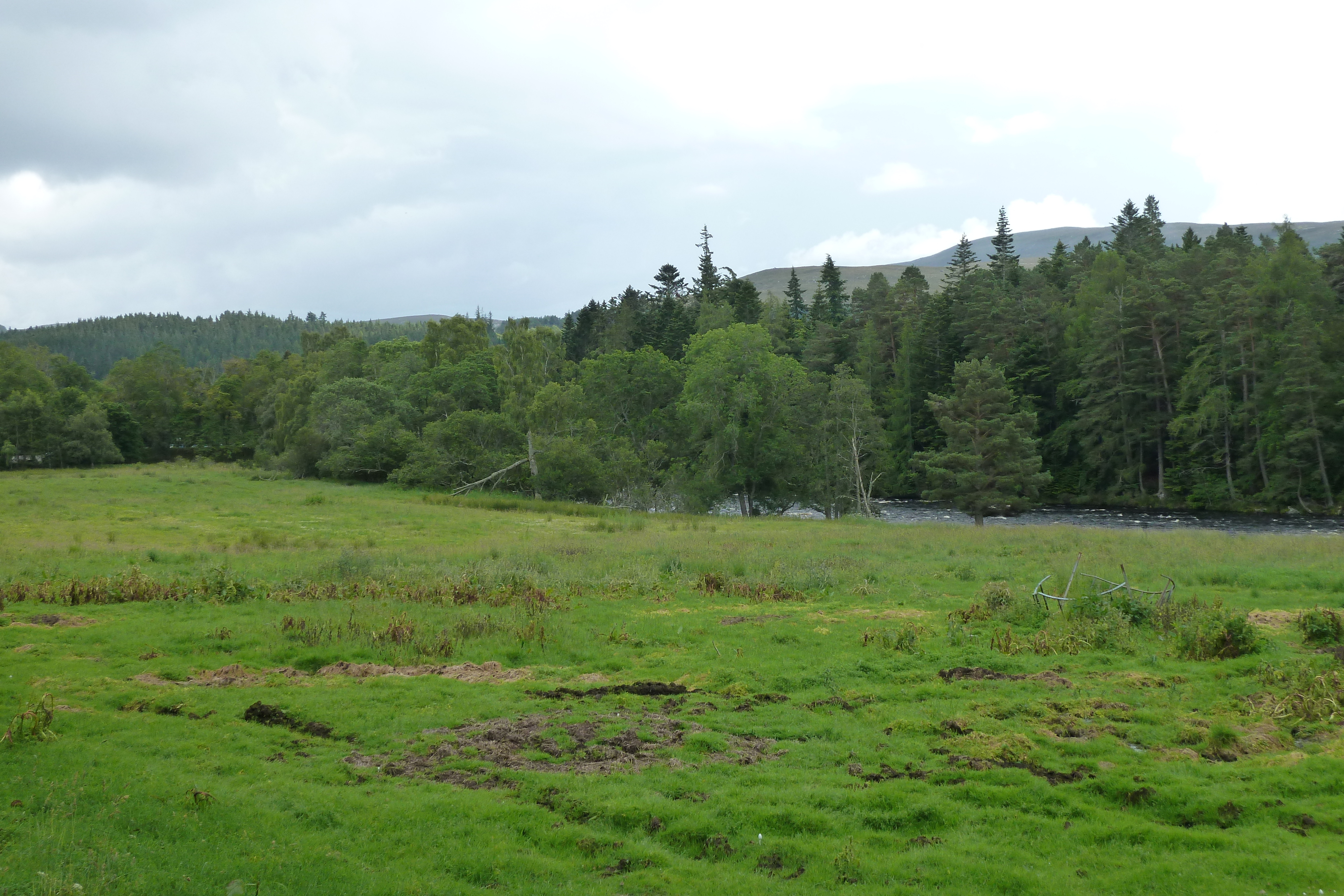 照片 英国(United Kingdom) 凯恩戈姆山国家公园(Cairngorms National Park) 2011-07 136