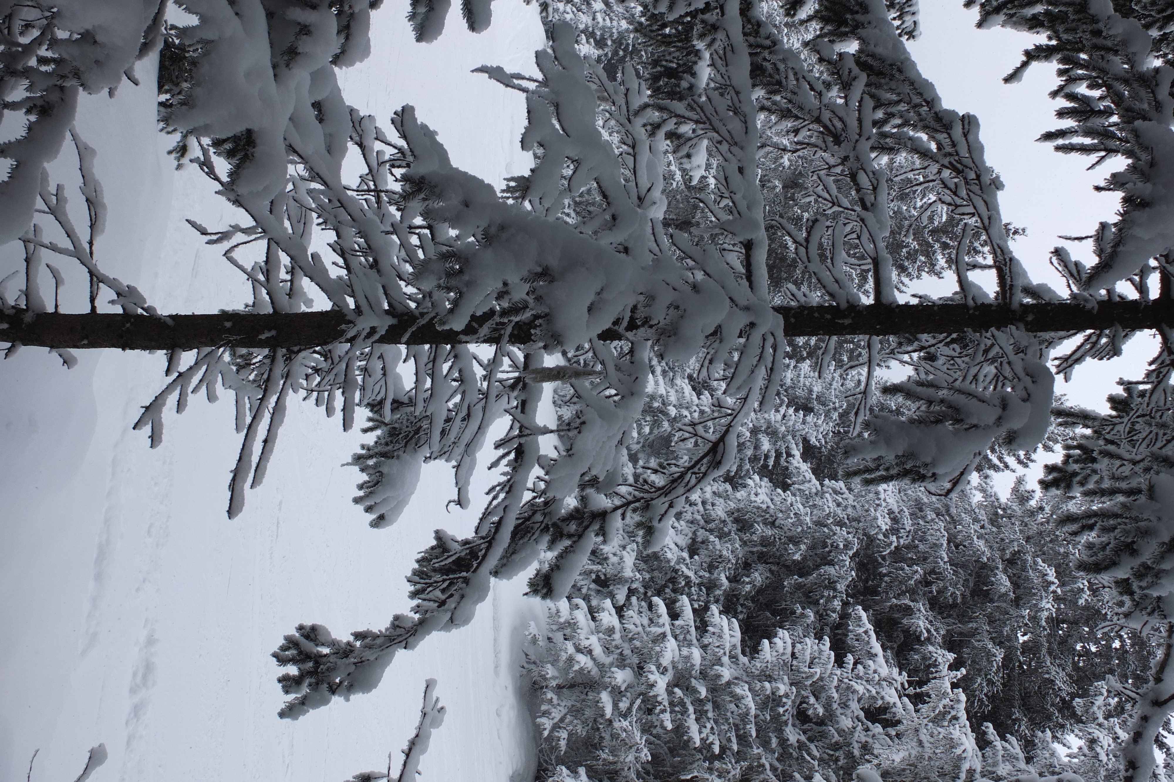 照片 法国(France) 三峡谷滑雪场(Les 3 Vallees) 2013-03 6