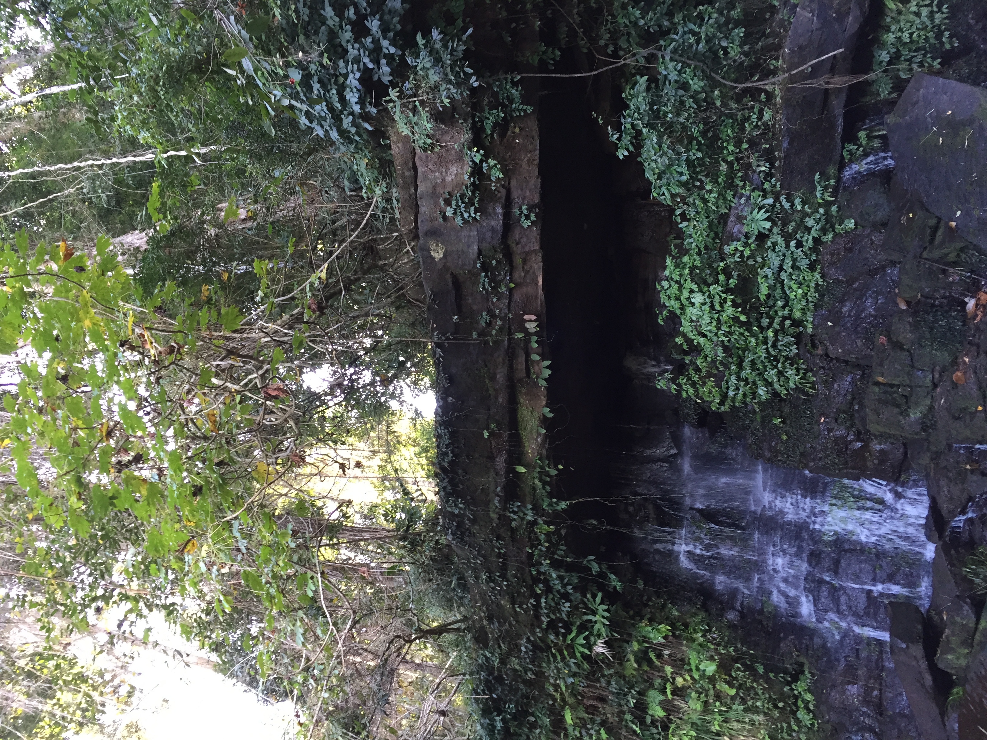 照片 泰国(Thailand) 普欣隆卡国家公园(Phu Hin Rong Kla National Park) 2014-12 252