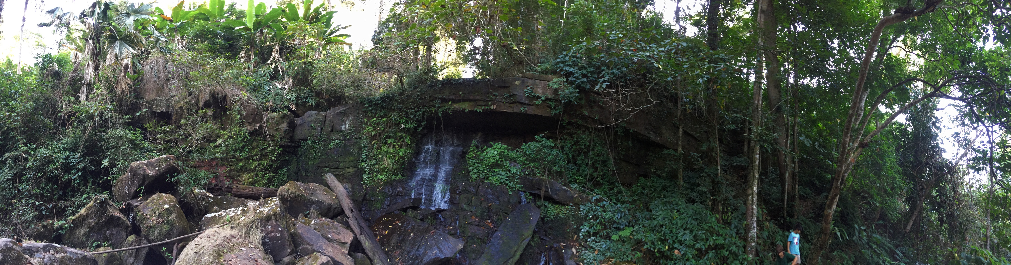 照片 泰国(Thailand) 普欣隆卡国家公园(Phu Hin Rong Kla National Park) 2014-12 295
