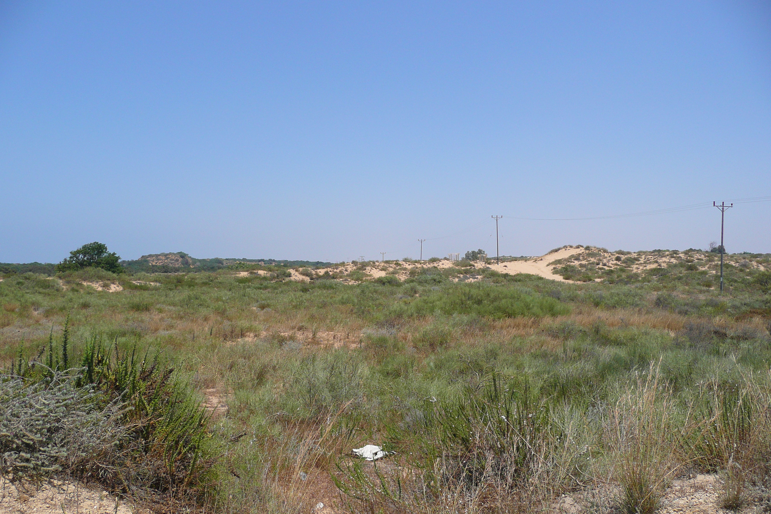 照片 以色列(Israel) 尼灿(Nitzan) 2007-06 81