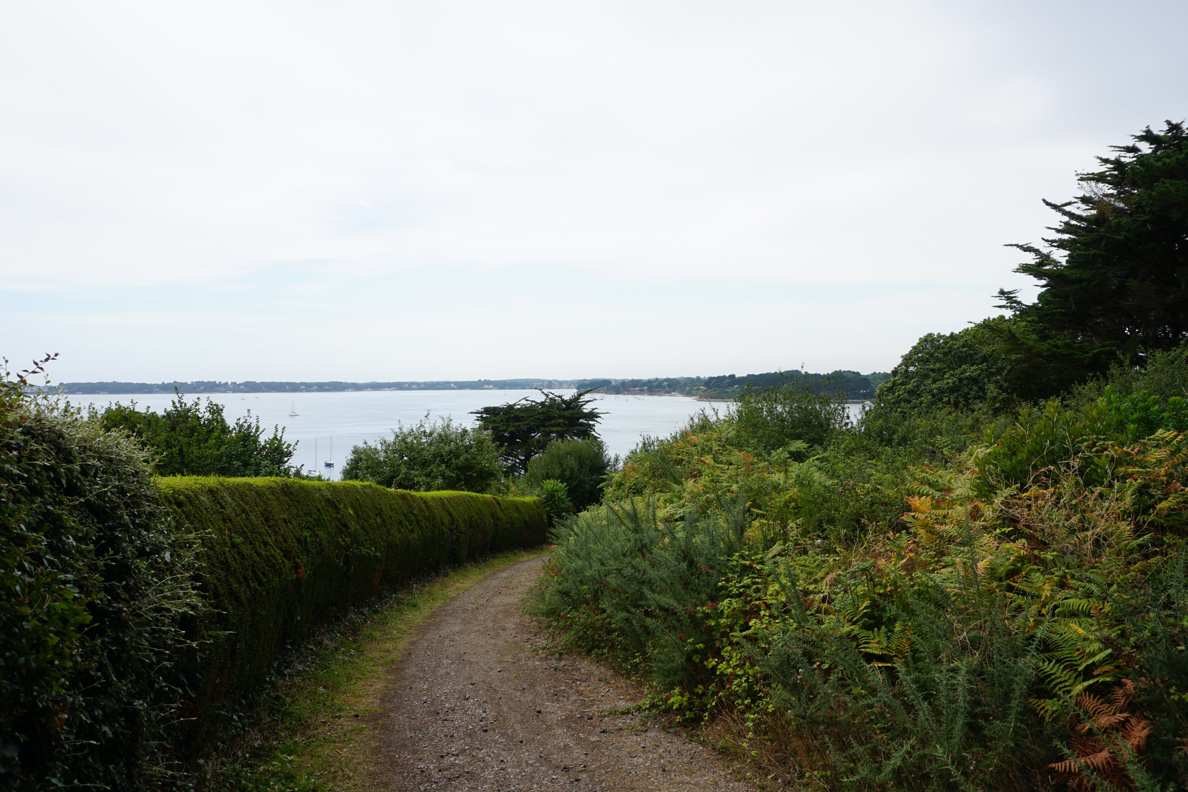 照片 法国(France) 僧侣岛(Ile-aux-Moines) 2016-08 84