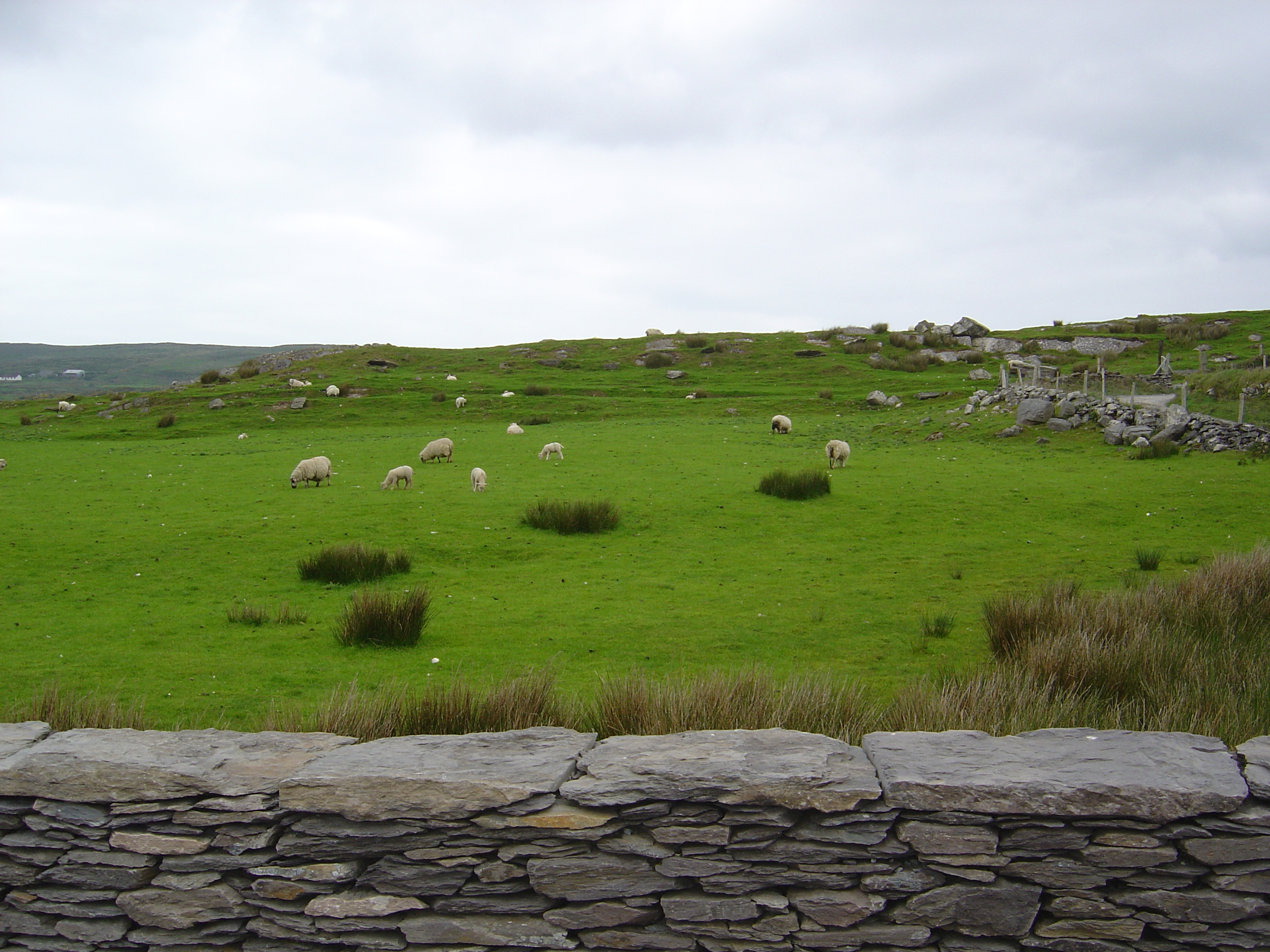 照片 爱尔兰(Ireland) 凯里郡(Kerry) 凯尔斯(Kells) 2004-05 0