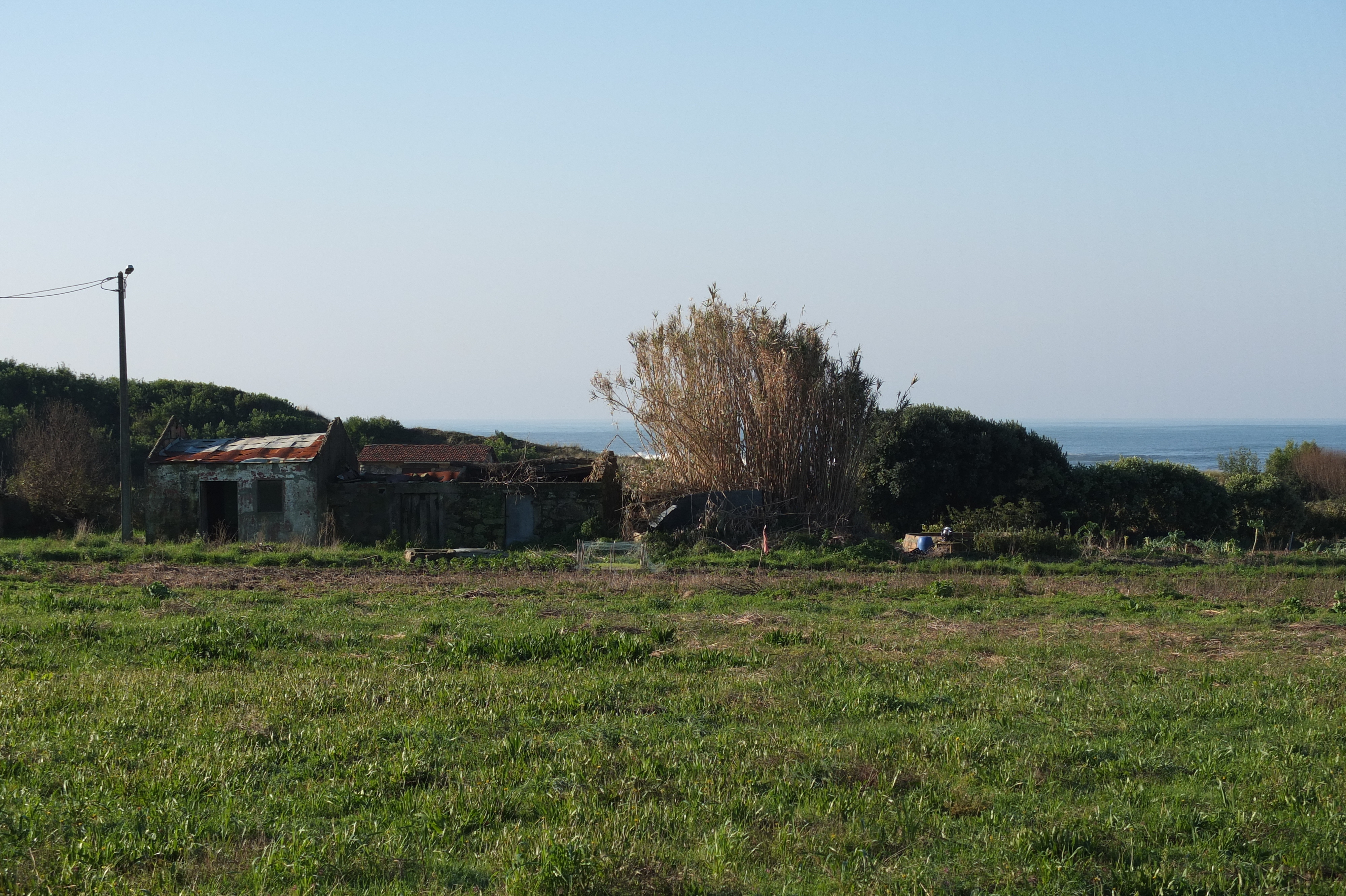 照片 葡萄牙(Portugal) 维亚纳堡(Viana do Castelo) 2013-01 143