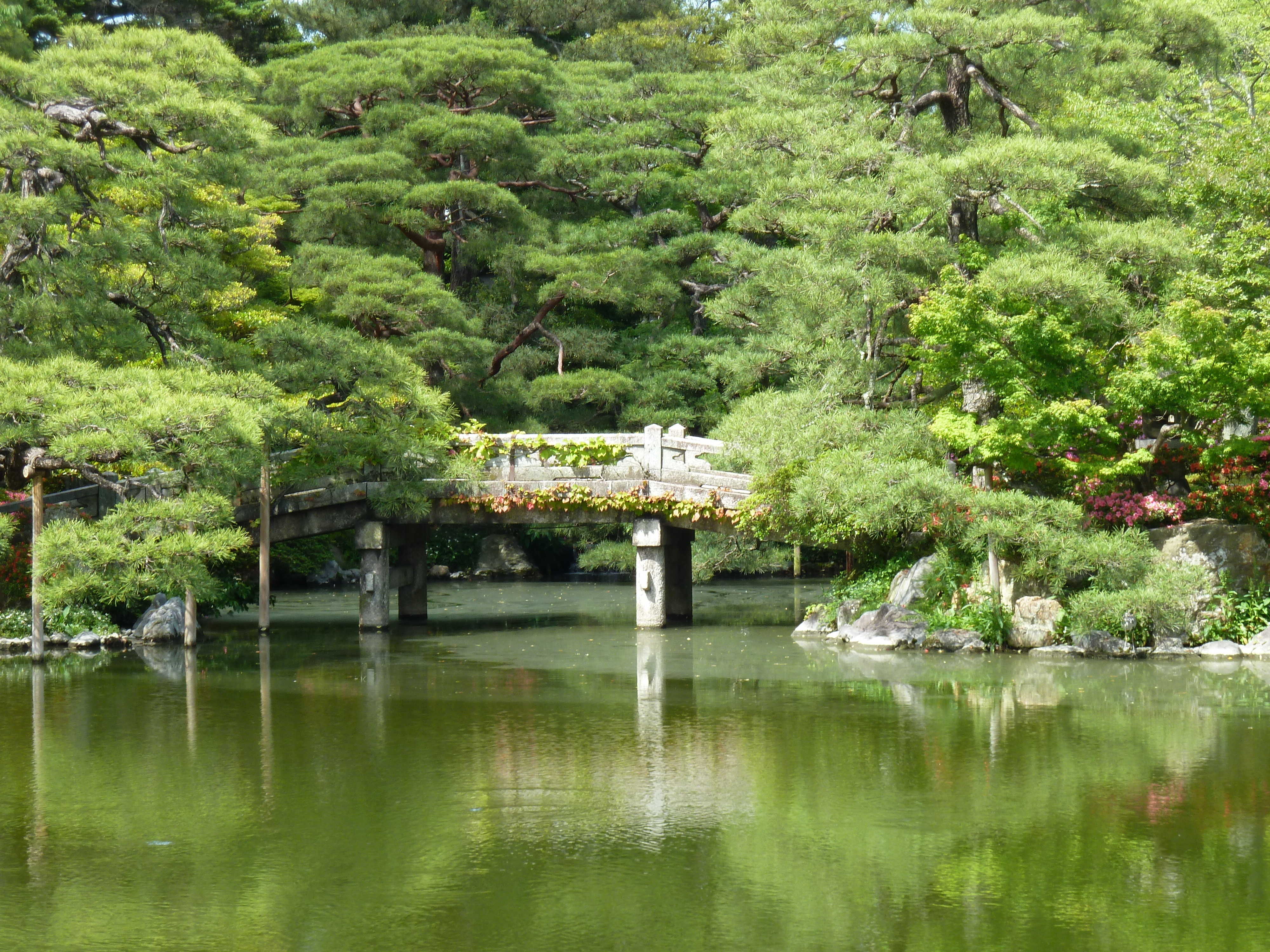 照片 日本(Japan) 京都(Kyoto) 京都御所(Kyoto Imperial Palace) 2010-06 79