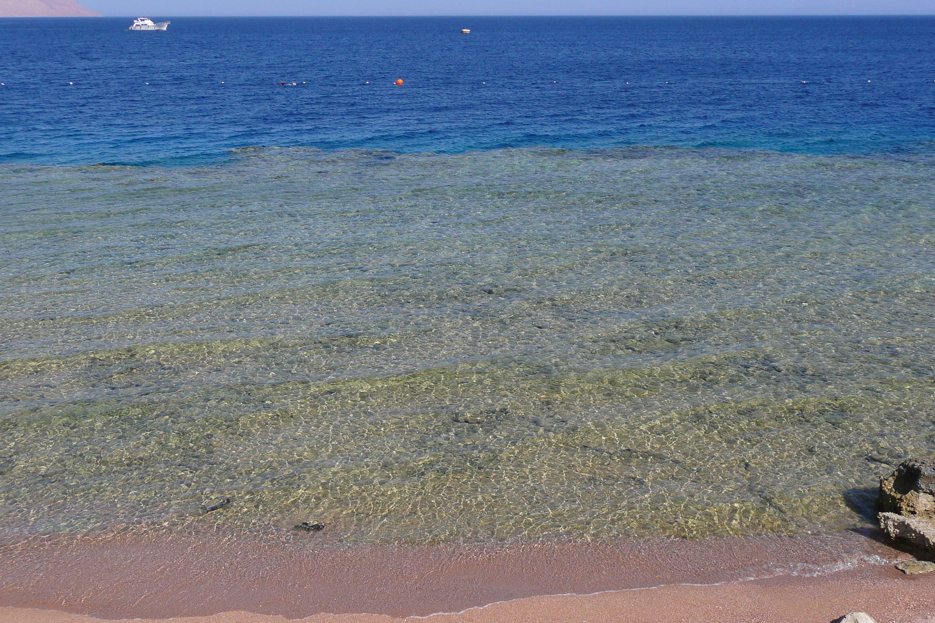 照片 埃及(Egypt) 沙姆沙伊赫(Sharm el Sheikh) 四季酒店(Four Seasons Hotel) 四季酒店海滩(Four Seasons Beach) 2008-06 10