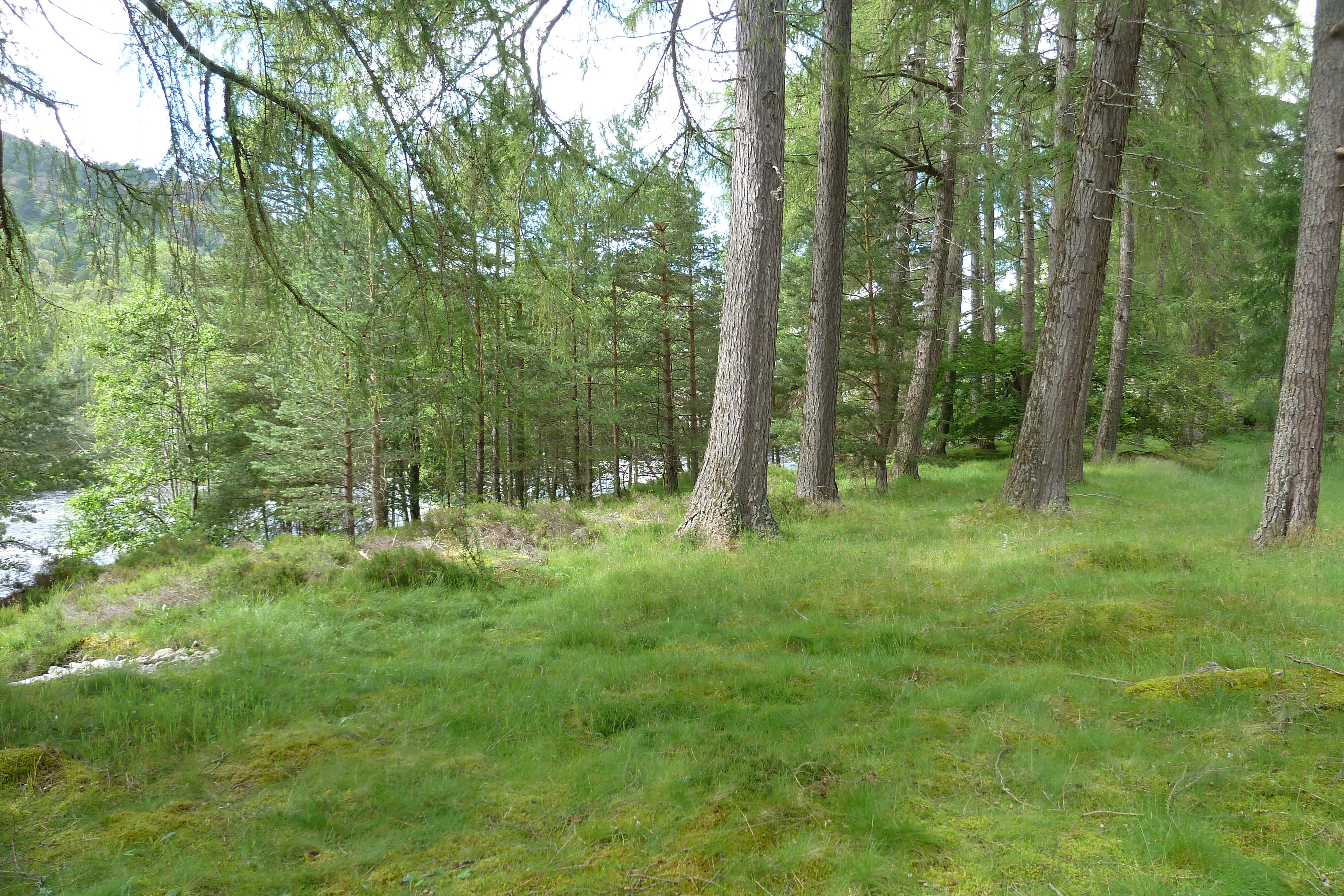 照片 英国(United Kingdom) 苏格兰(Scotland) 凯恩戈姆山国家公园(Cairngorms National Park) 因弗考尔德桥(Invercauld Bridge) 2011-07 8