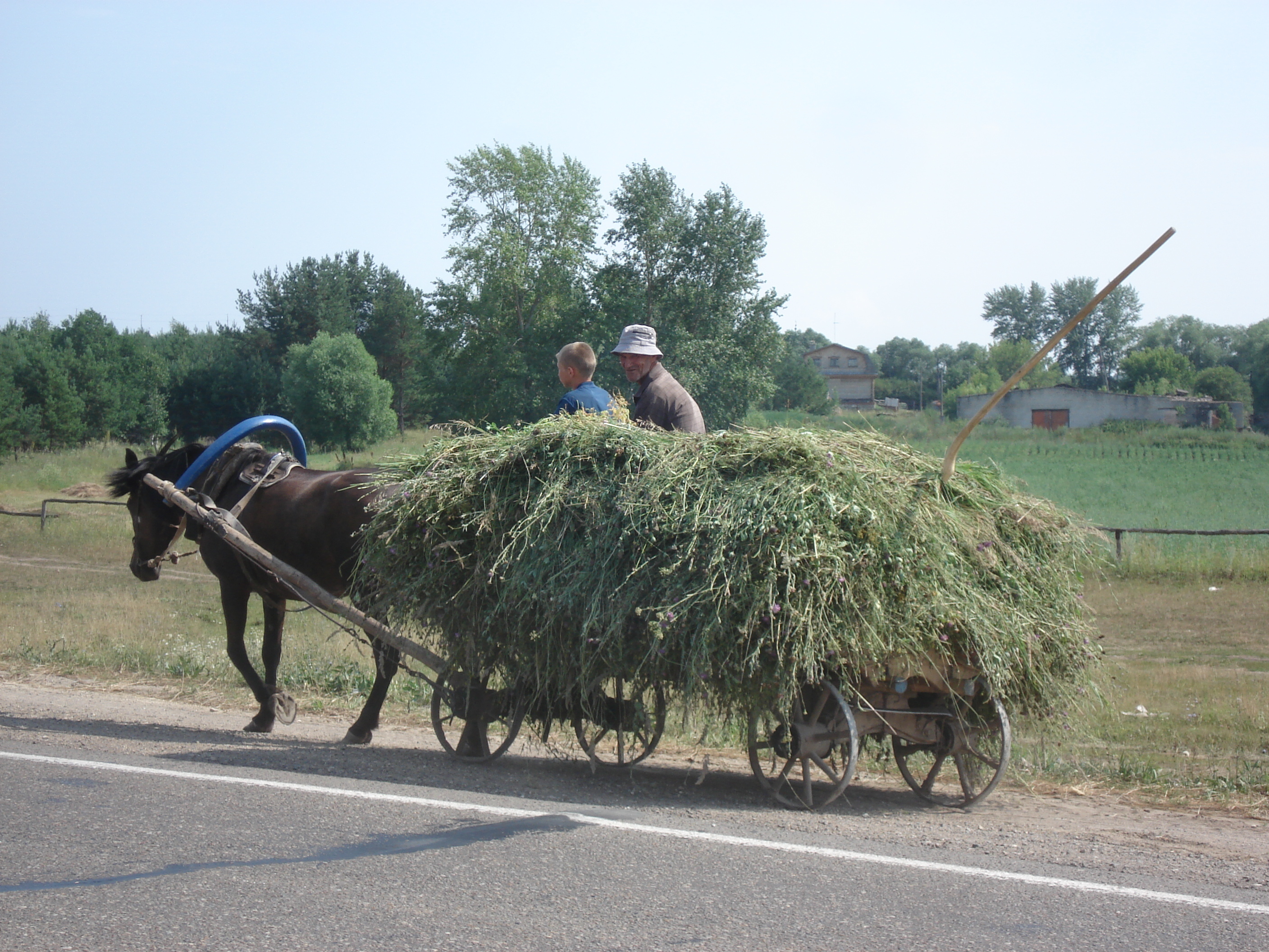 照片 俄罗斯(Russia) 乌法至喀山(From Ufa to Kazan) 2006-07 90