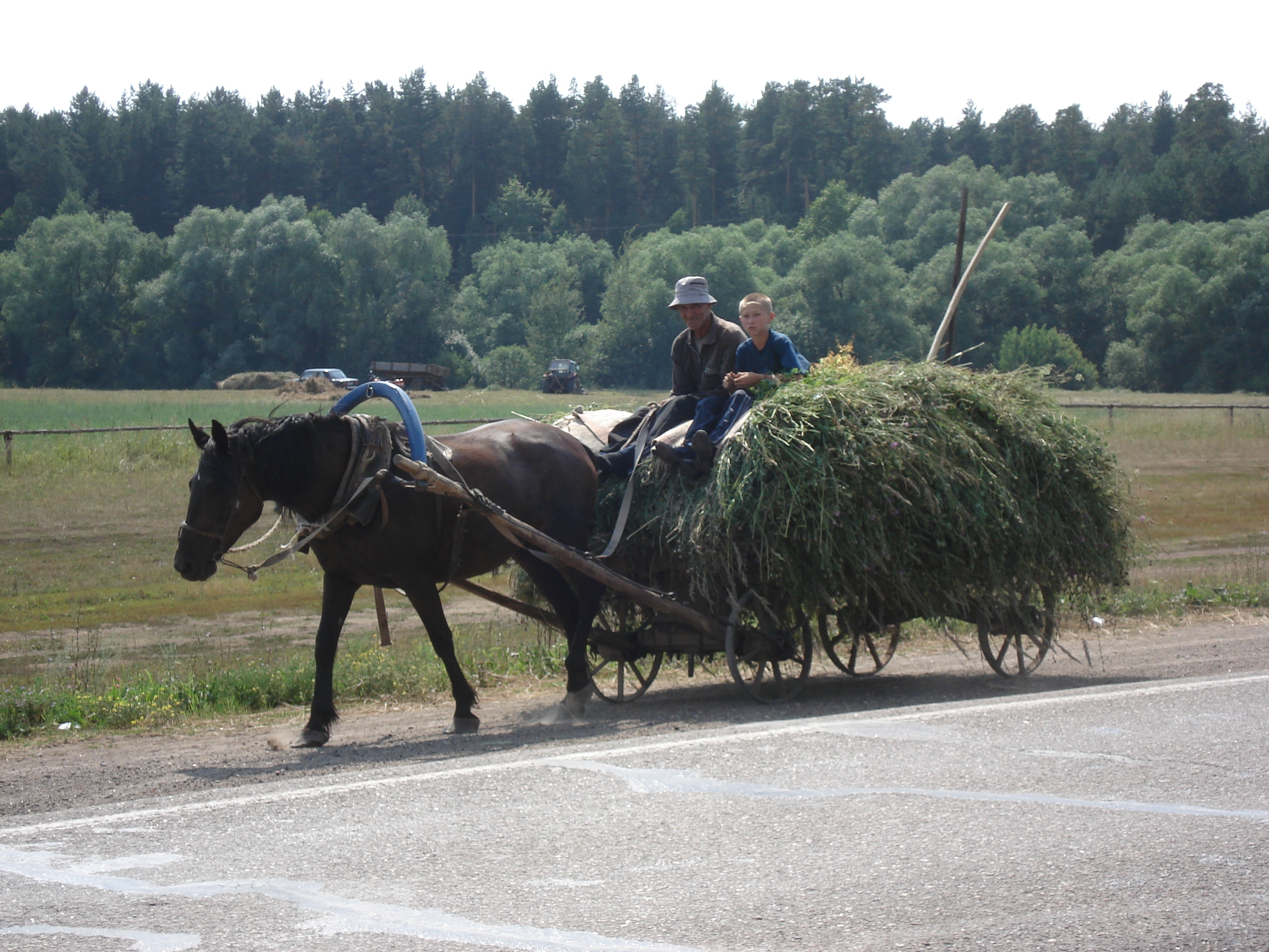 照片 俄罗斯(Russia) 乌法至喀山(From Ufa to Kazan) 2006-07 95