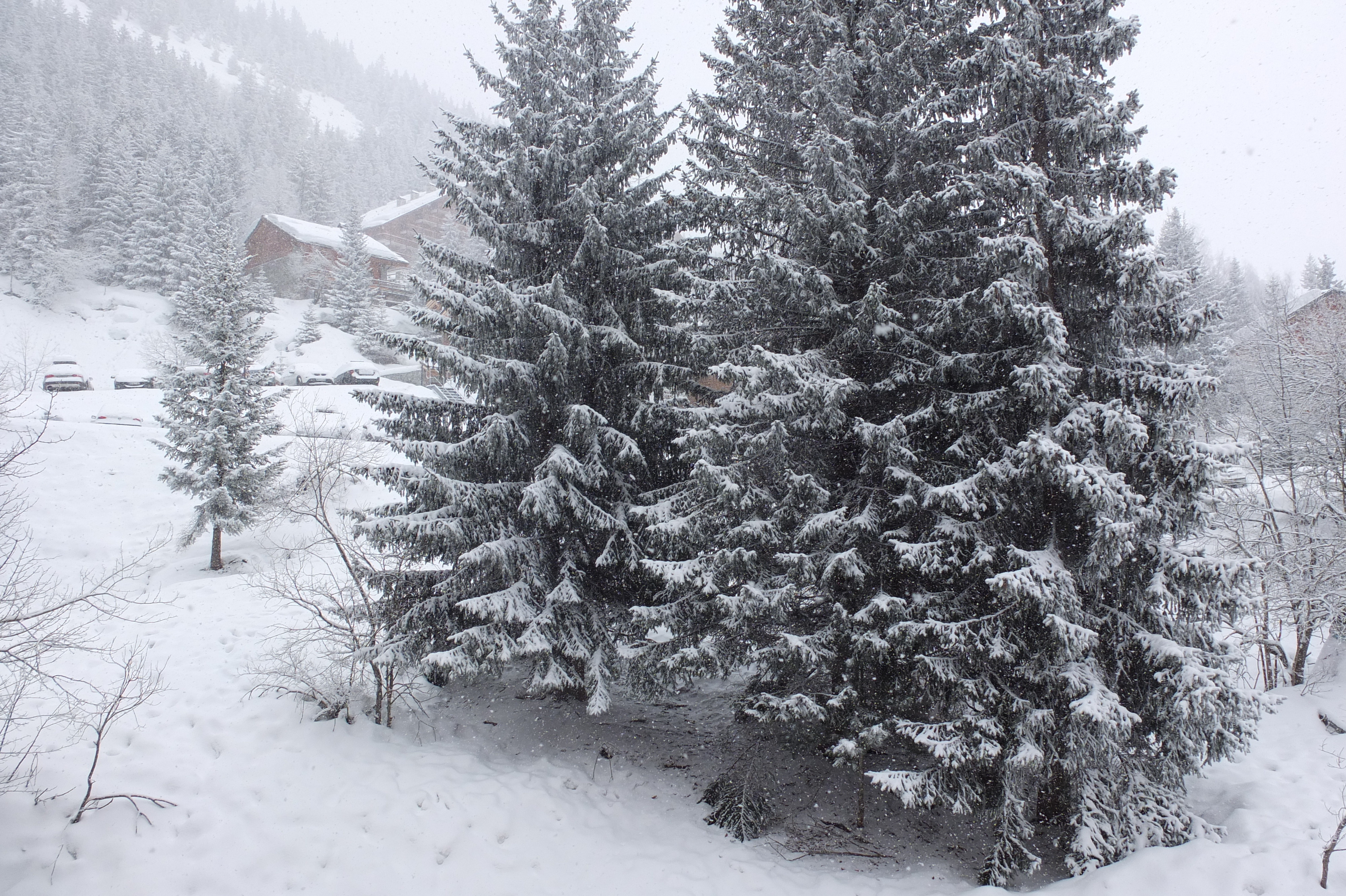 照片 法国(France) 三峡谷滑雪场(Les 3 Vallees) 2013-03 247