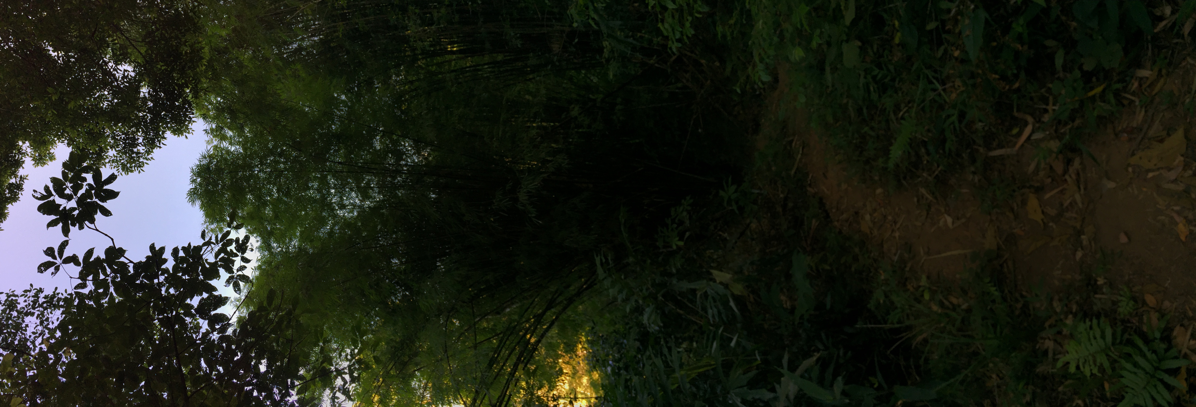 照片 泰国(Thailand) 普欣隆卡国家公园(Phu Hin Rong Kla National Park) 2014-12 155