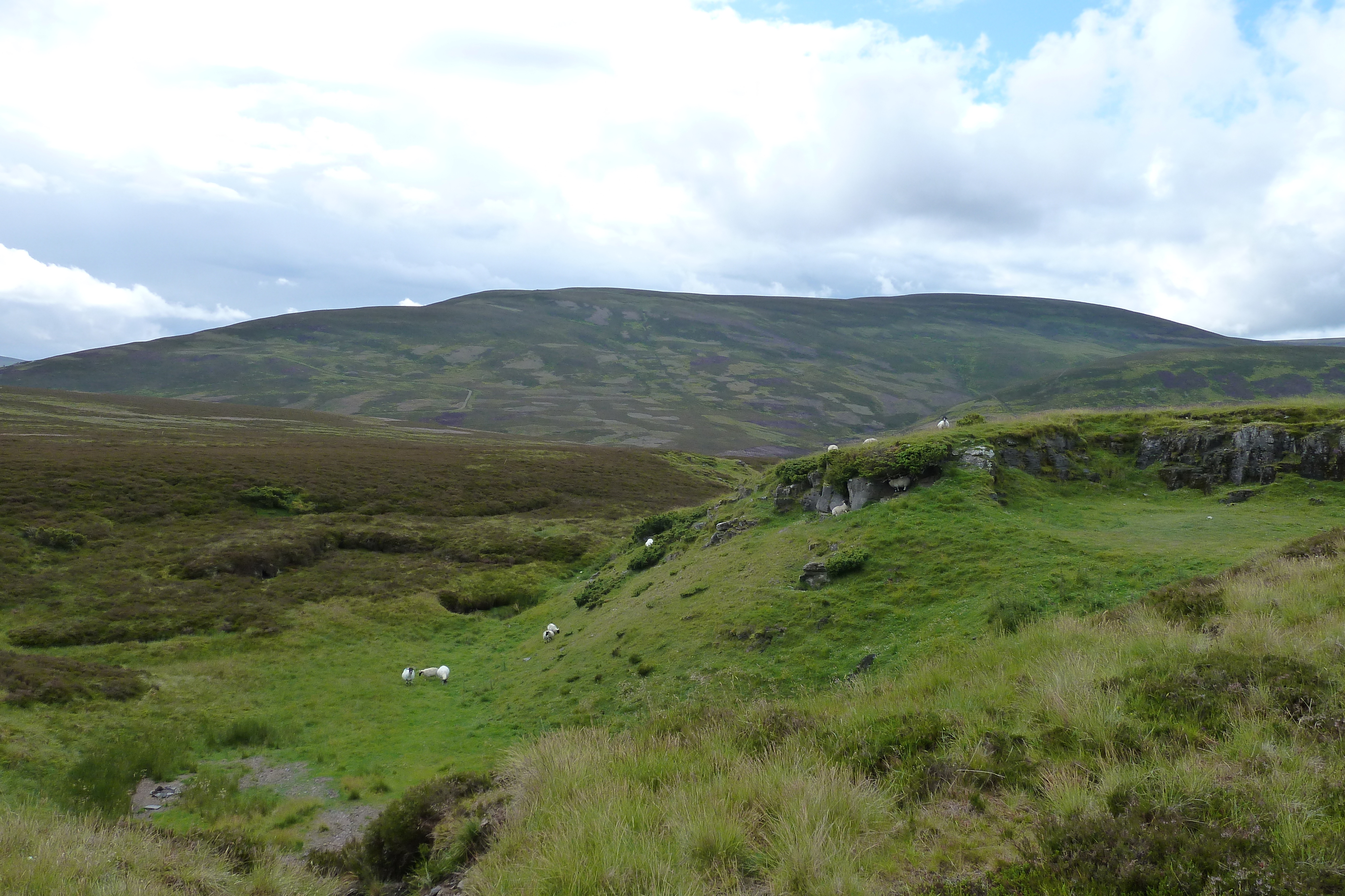 照片 英国(United Kingdom) 凯恩戈姆山国家公园(Cairngorms National Park) 2011-07 141