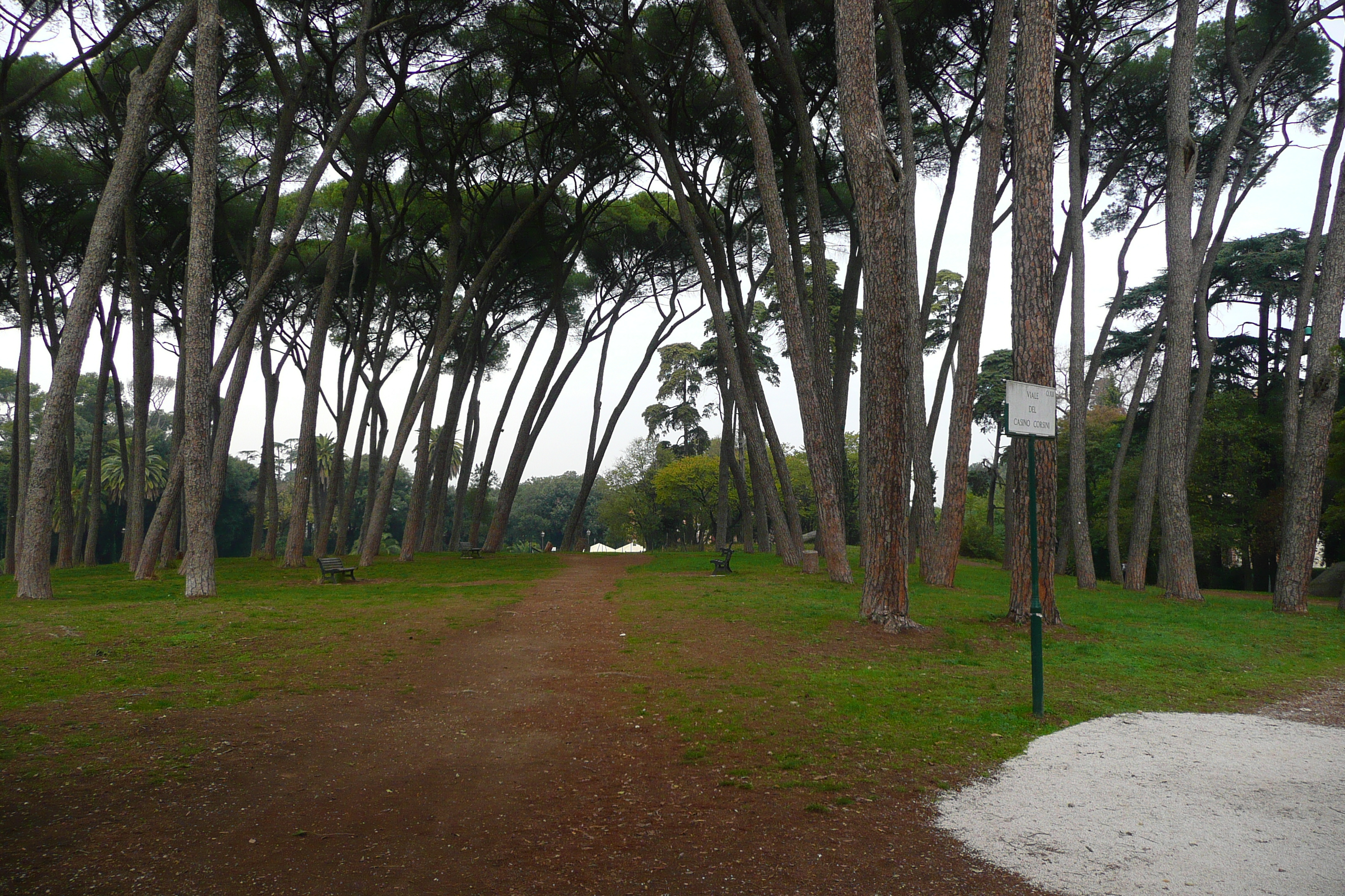 照片 意大利(Italy) 罗马(Rome) 多里亚·潘菲利别墅公园(Villa Doria Pamphili) 2007-11 78