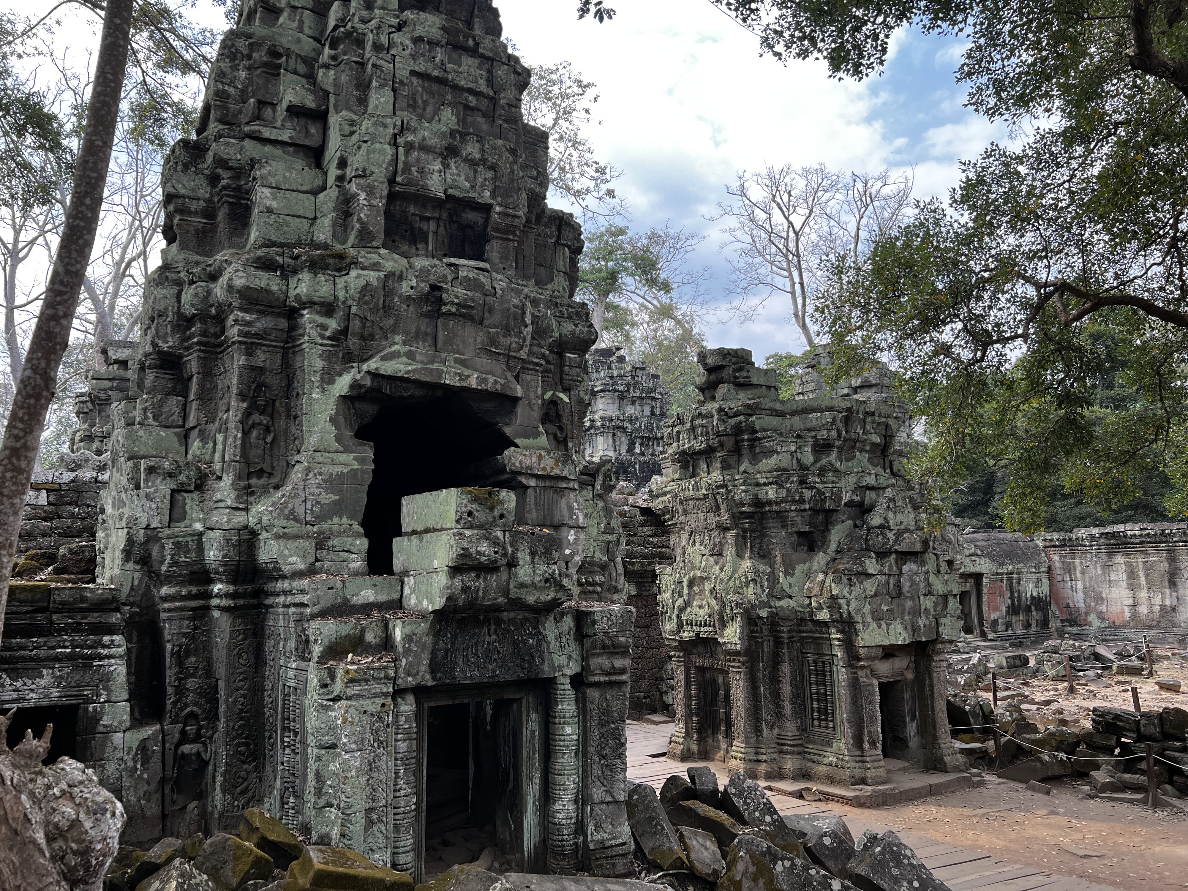 照片 柬埔寨(Cambodia) 暹粒(Siem Reap) 塔布茏寺(Ta Prohm) 2023-01 55