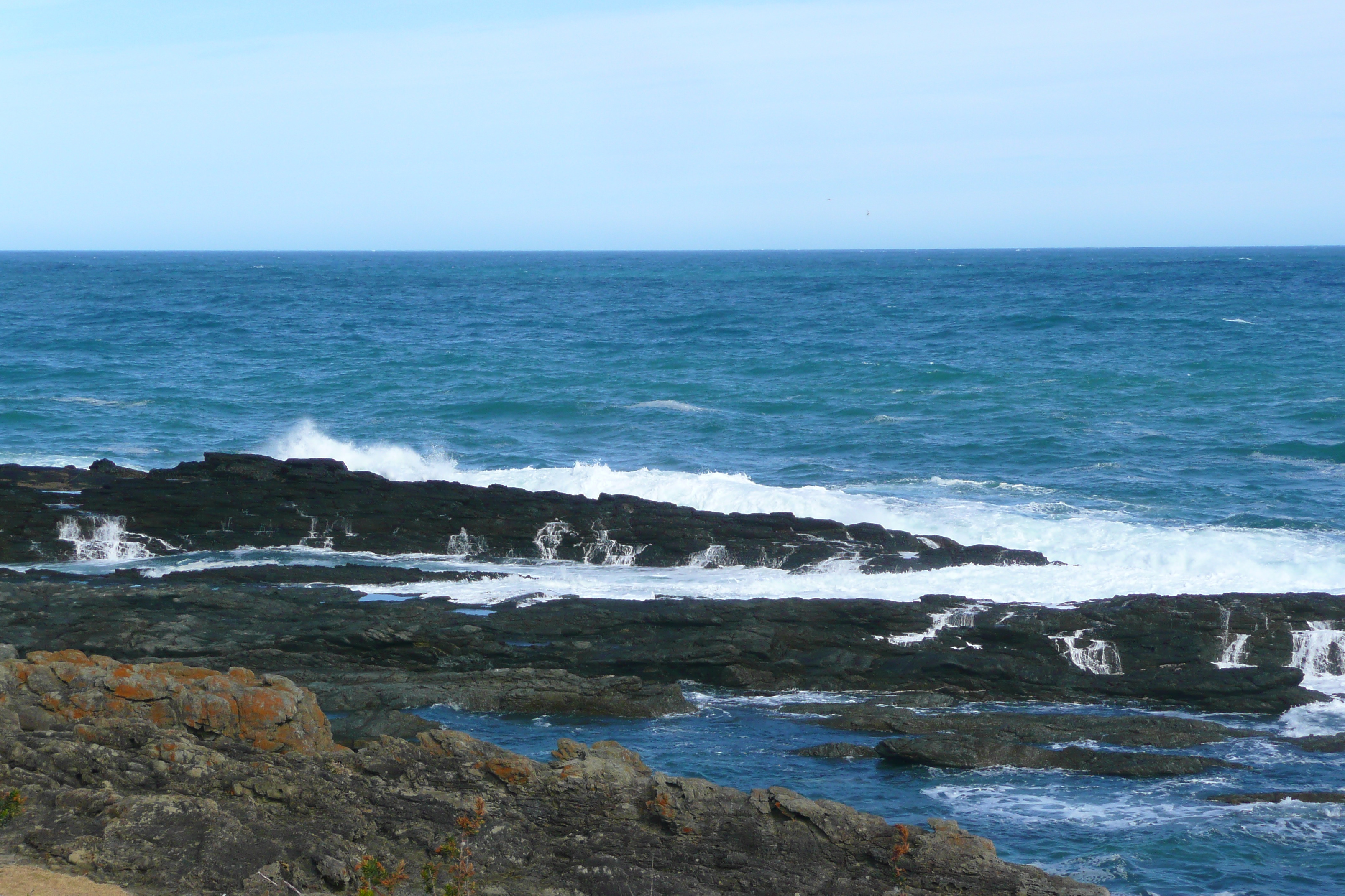 照片 南非(South Africa) 齐齐卡马国家公园(Tsitsikamma National Park) 2008-09 128