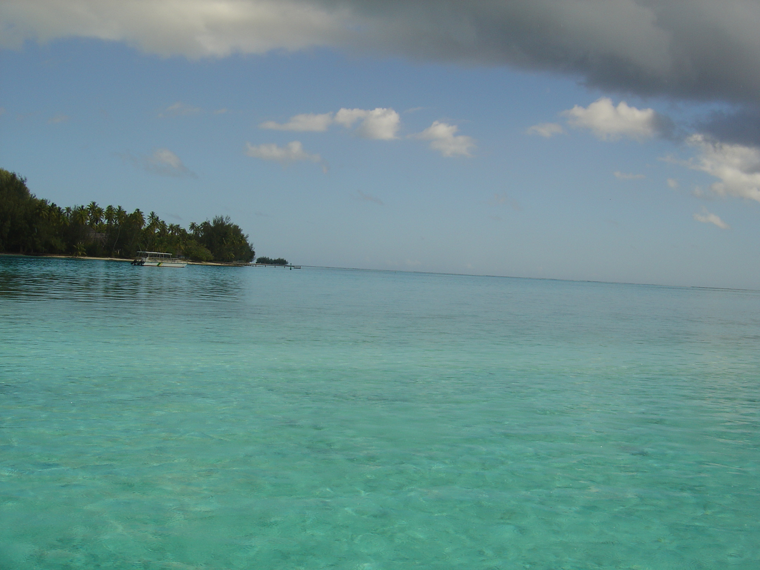 照片 波利尼西亚(Polynesia) 莫雷阿岛(Moorea) 2006-04 5
