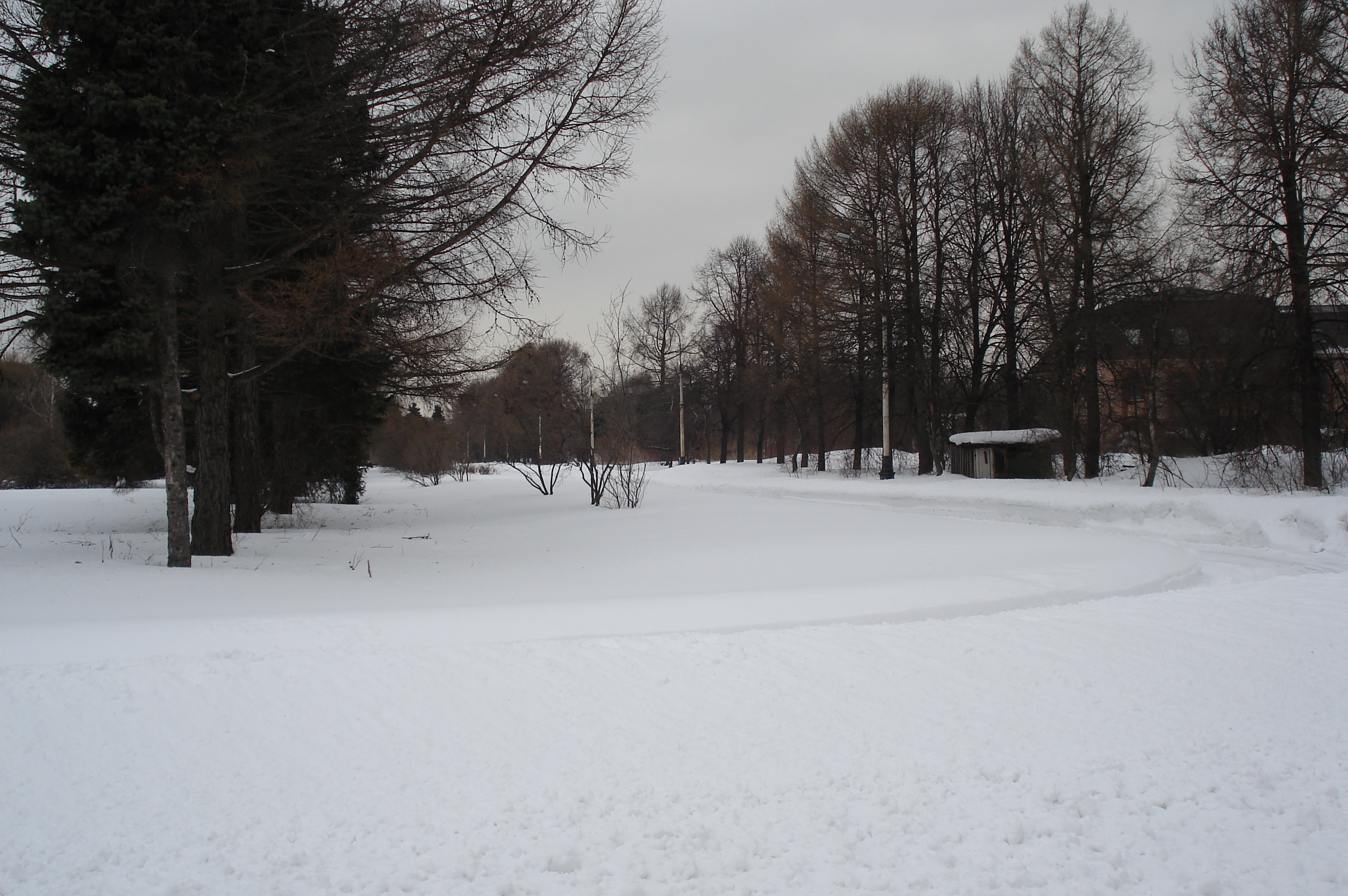 照片 俄罗斯(Russia) 莫斯科(Moscow) 莫斯科国立大学(Moscow State University) 2006-03 5