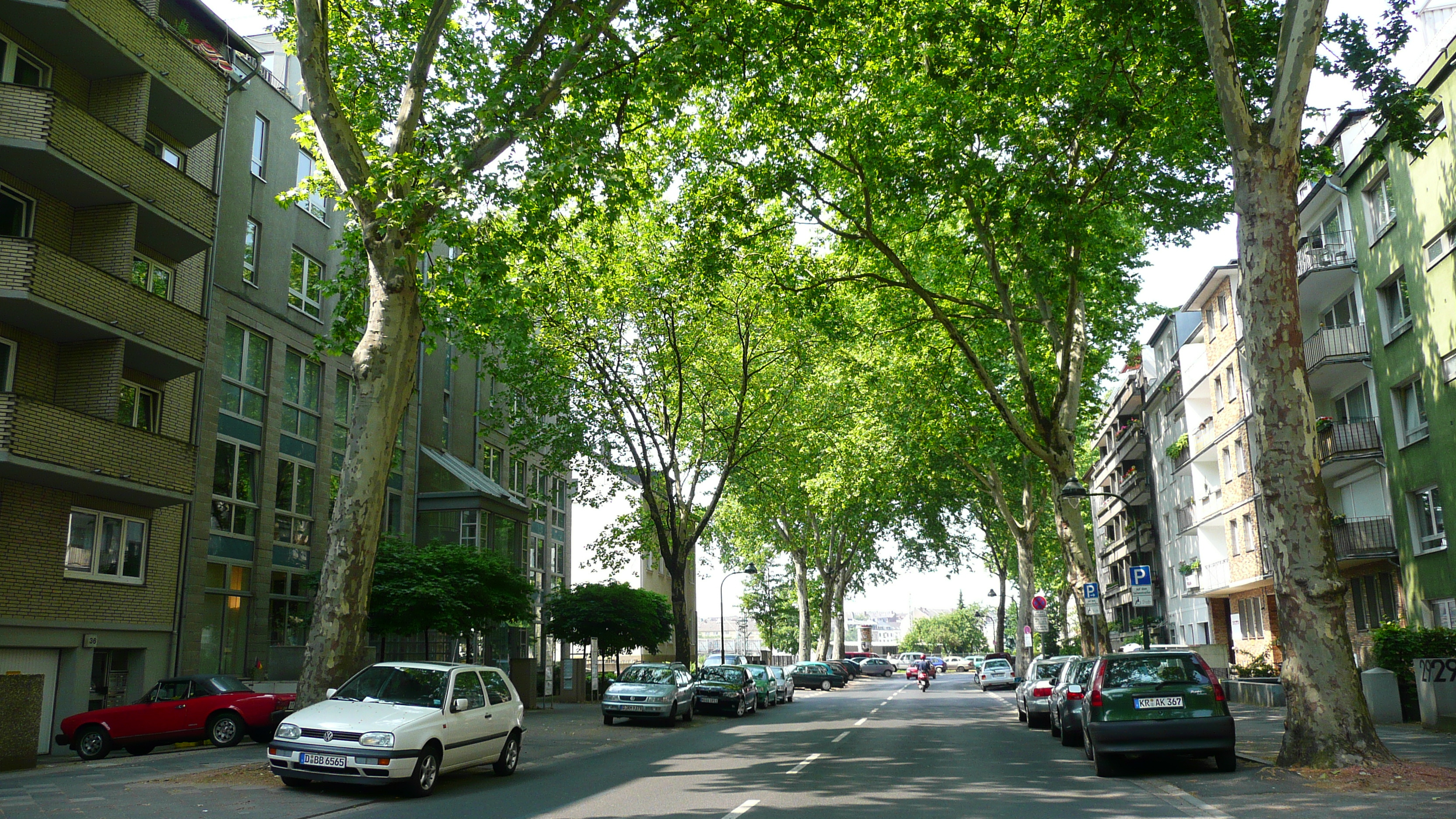 照片 德国(Germany) 杜塞尔多夫(Dusseldorf) 2007-05 94