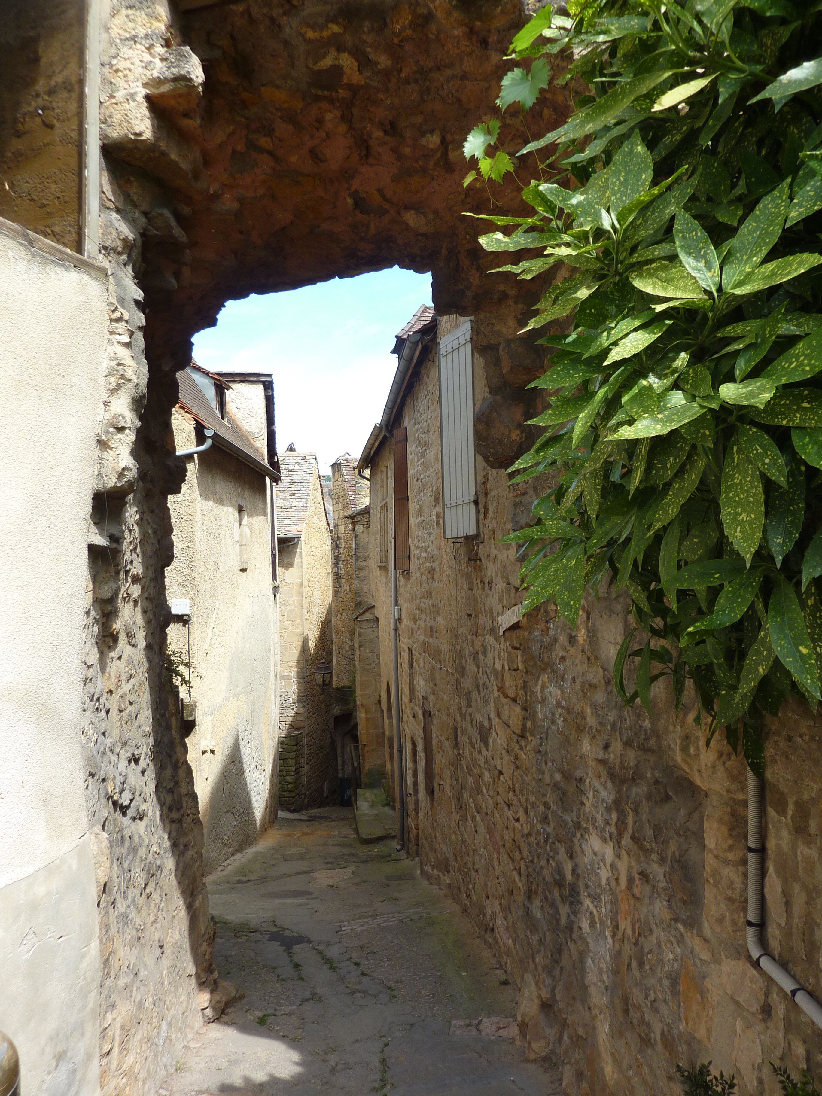 照片 法国(France) 萨尔拉拉卡内达(Sarlat la Caneda) 2009-07 33