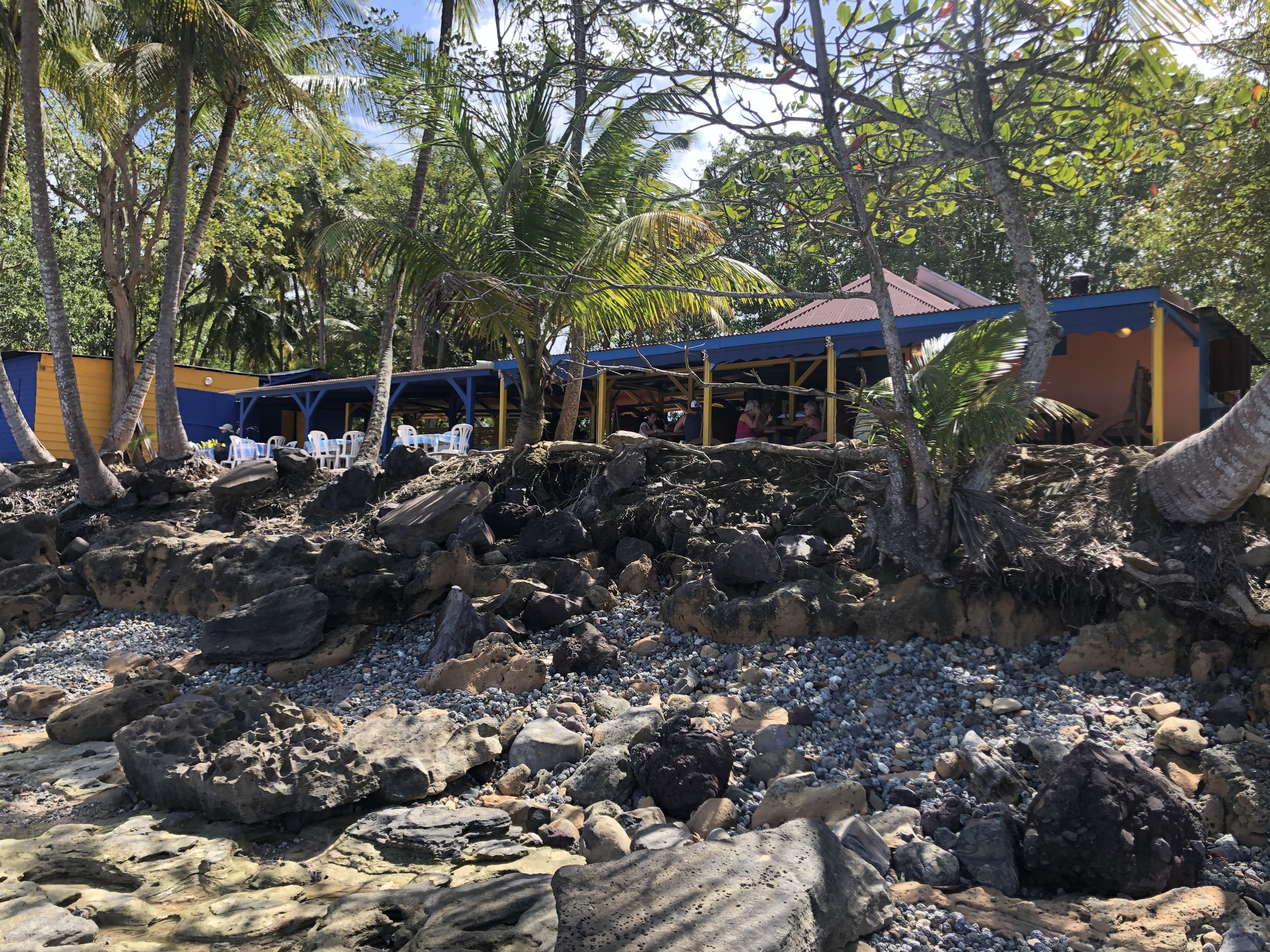 照片 瓜德罗普(Guadeloupe) 克吕尼海滩(Clugny Beach) 2021-02 17