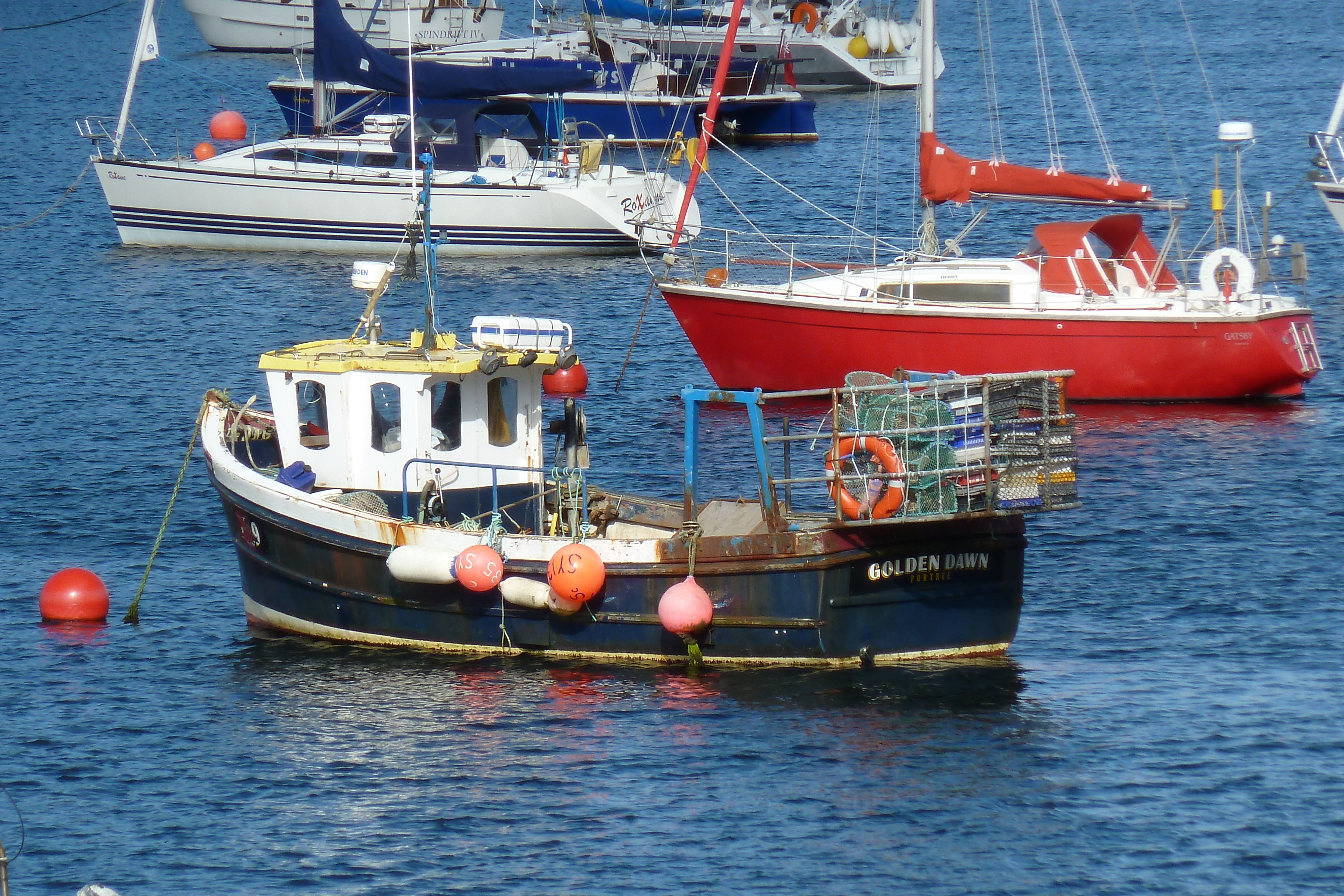 照片 英国(United Kingdom) 斯凯岛(Skye) 波特里(Portree) 2011-07 35