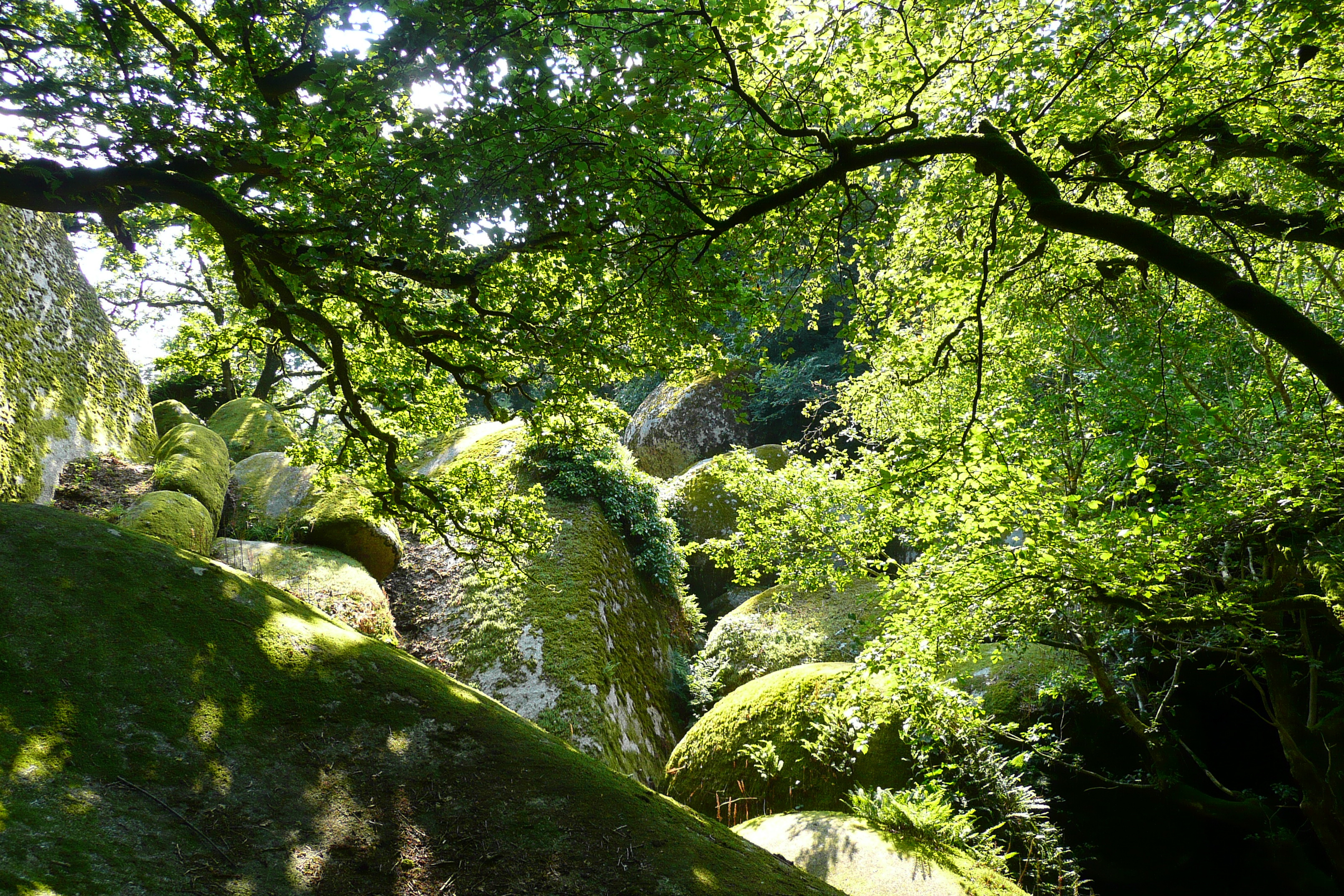 照片 法国(France) 于埃尔瓜特(Huelgoat) 2007-08 139